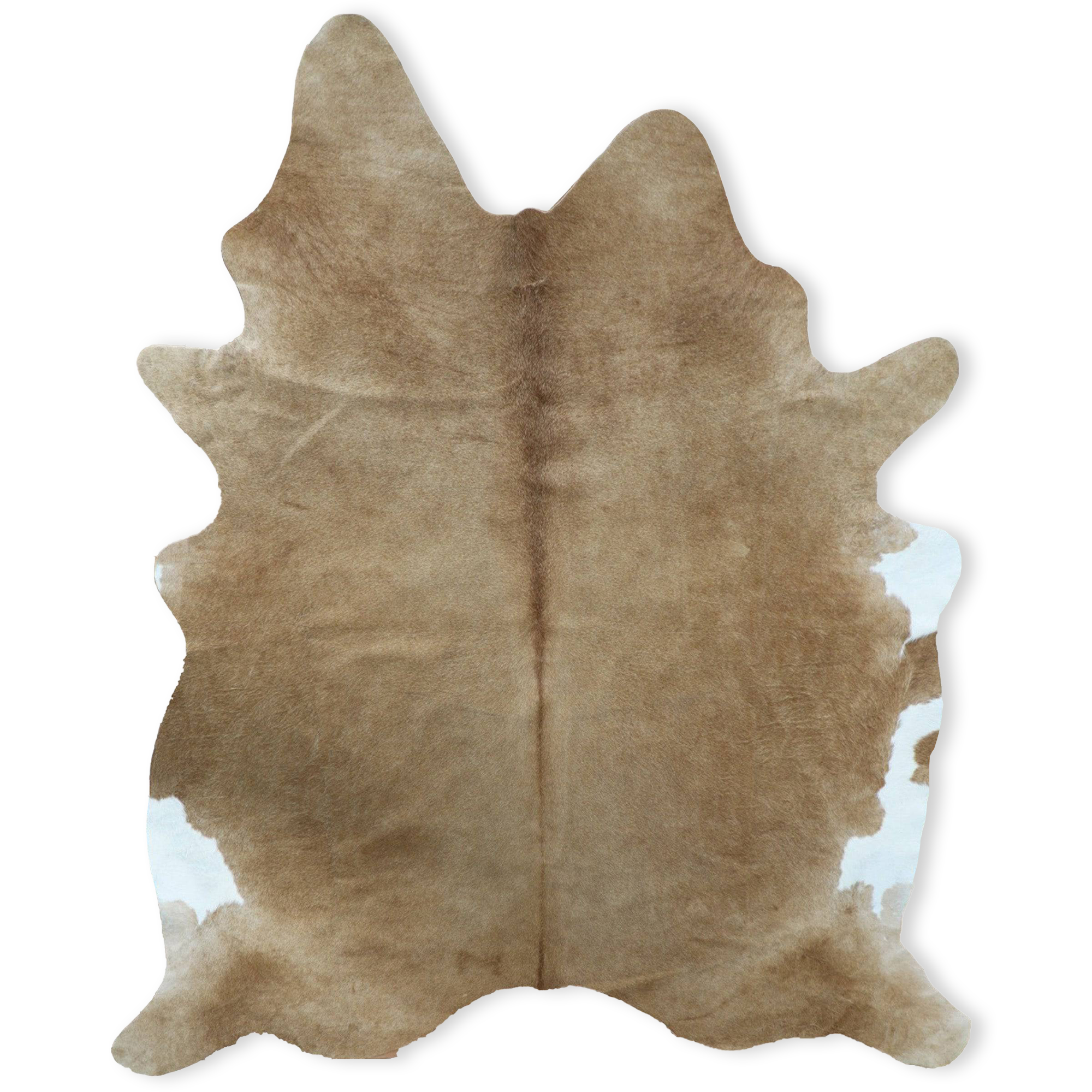 230X160 Cm Cowhide Rug Cow-Hide-Brown - Rugs - ebarza Furniture UAE | Shop Modern Furniture in Abu Dhabi & Dubai - مفروشات ايبازرا في الامارات | تسوق اثاث عصري وديكورات مميزة في دبي وابوظبي