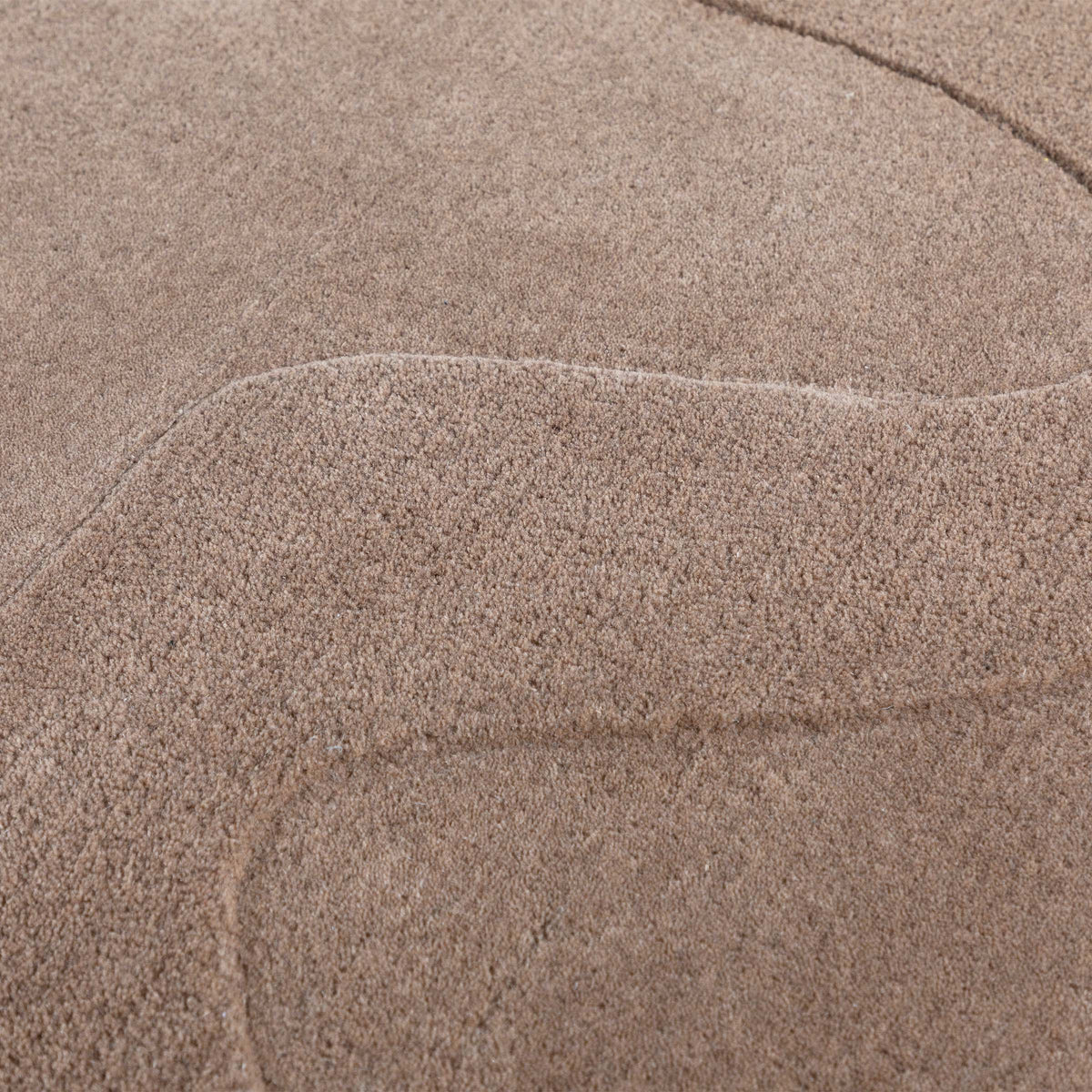 Dark beige wool rug measuring 230x160 cm by Javi, featuring a soft textured surface and intricate pattern design.