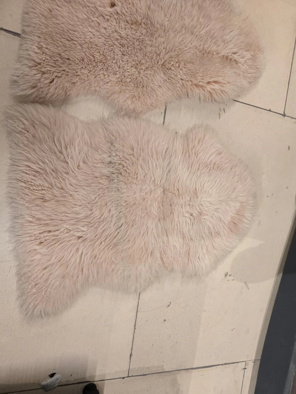 AS IS - Luxurious Sheepskin Rug -Natural Shp-P - DISPLAY ITEM - ebarza Furniture UAE | Shop Modern Furniture in Abu Dhabi & Dubai - مفروشات ايبازرا في الامارات | تسوق اثاث عصري وديكورات مميزة في دبي وابوظبي