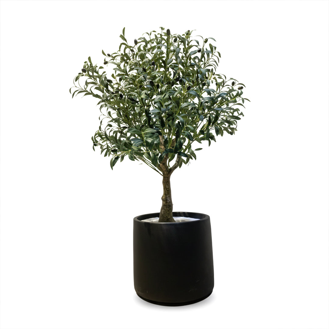 Artificial Olive Tree Olive-1 Tree FHS-Tree01 - Plants - ebarza Furniture UAE | Shop Modern Furniture in Abu Dhabi & Dubai - مفروشات ايبازرا في الامارات | تسوق اثاث عصري وديكورات مميزة في دبي وابوظبي