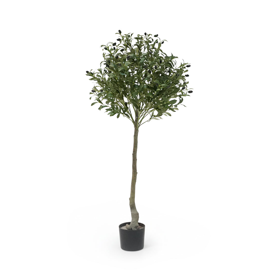 Artificial Olive Tree Olive-1 Tree FHS-Tree01