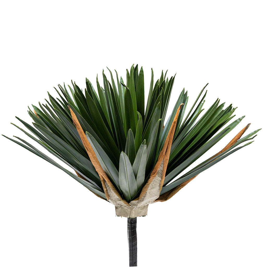 Artificial Agave Sisalana plant with 184 leaves, realistic indoor decorative plant by BEACON(XYDG).