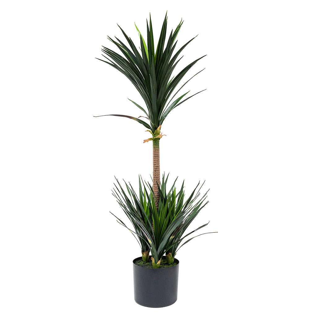 Artificial Dracaena Draco plant by BEACON, 120cm tall with lush green leaves, realistic indoor decorative plant.