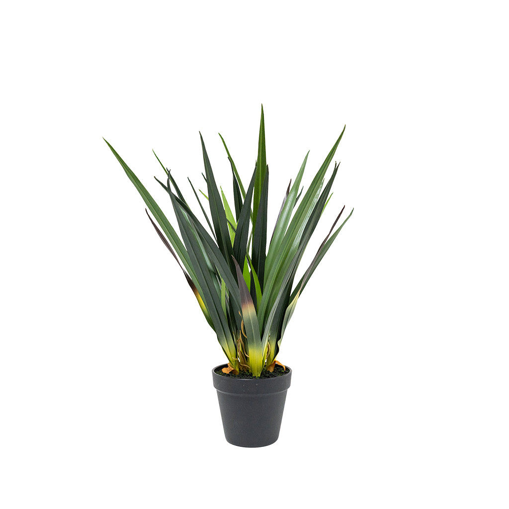 Artificial Dracaena Draco plant, 52cm tall, from BEACON, featuring long green leaves and realistic foliage.