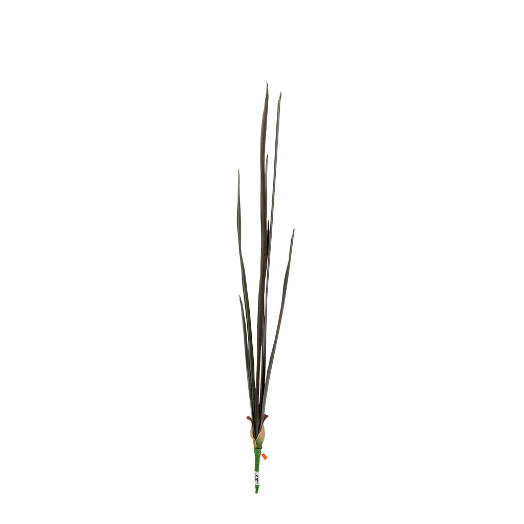 Artificial orchid leaf plant in 66cm size by BEACON, featuring realistic green leaves perfect for home or office decor.