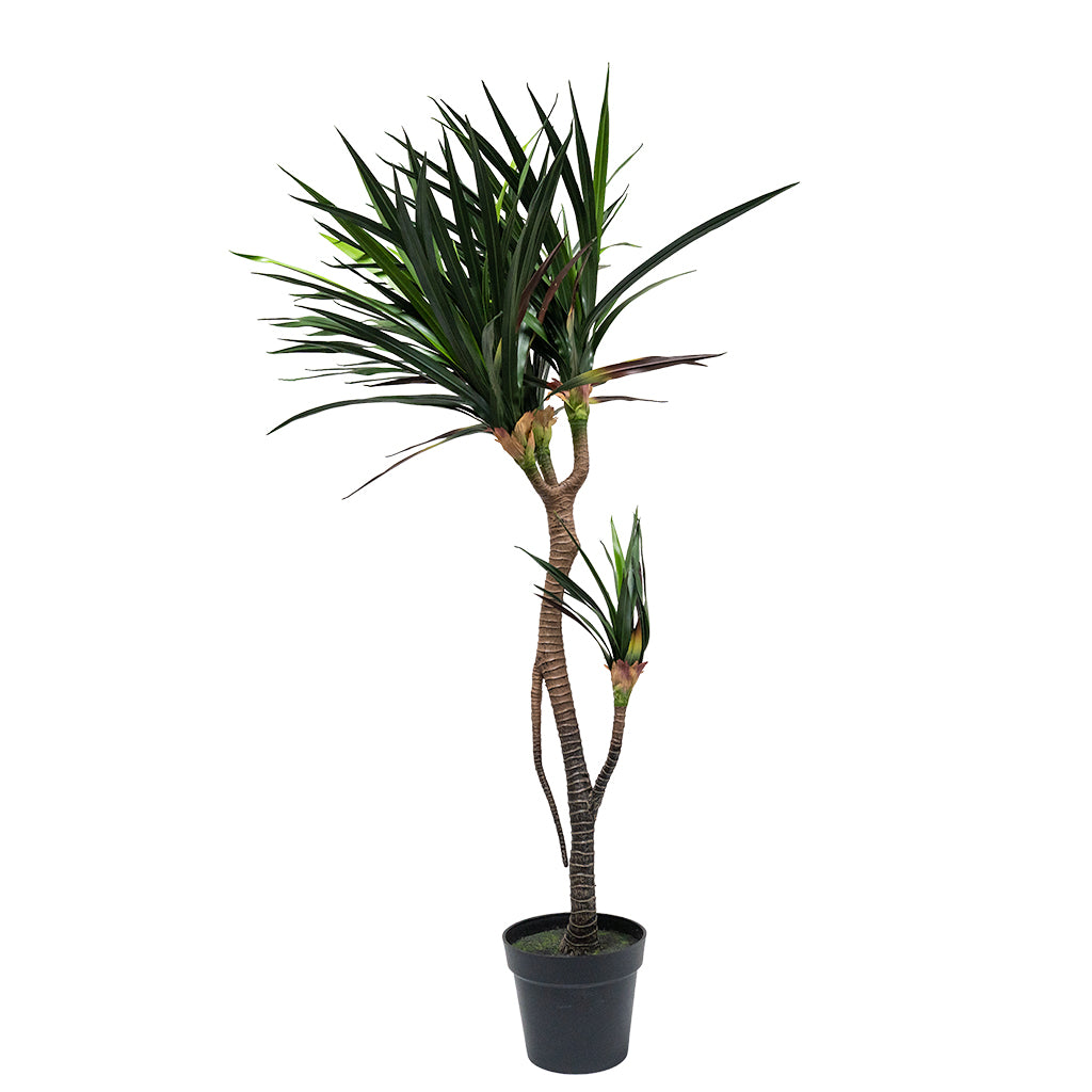 Artificial Dracaena Draco plant, 140cm tall, with lush green leaves, from BEACON, displayed in a decorative pot.