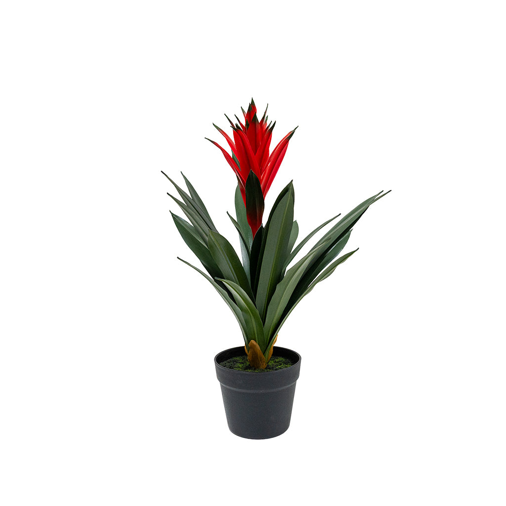 Artificial Guzmania Conifera plant in a 58 cm size, with vibrant green leaves and colorful bracts, by BEACON.