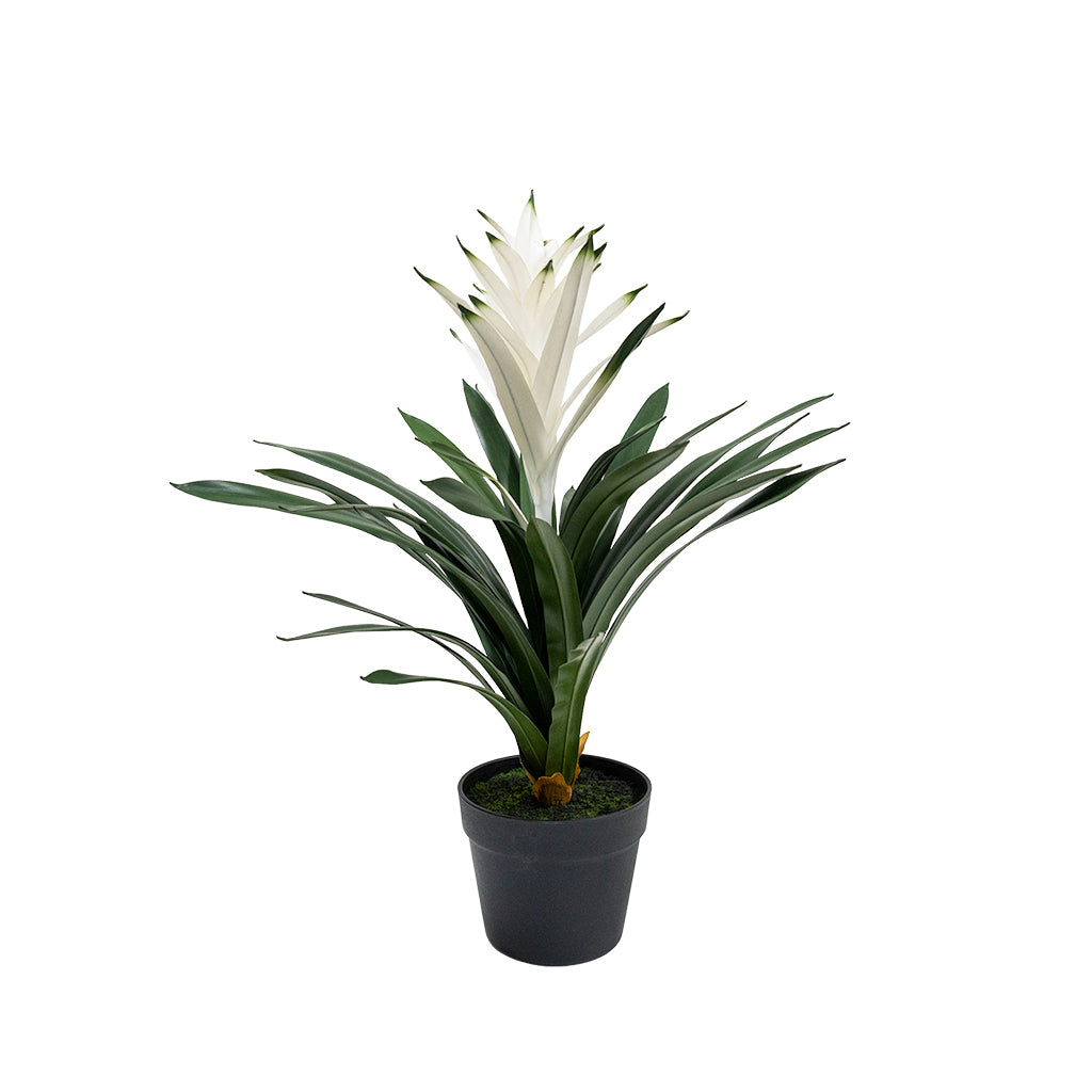 Artificial Guzmania Conifera plant, 61cm tall, with vibrant green foliage and colorful blooms, by BEACON.