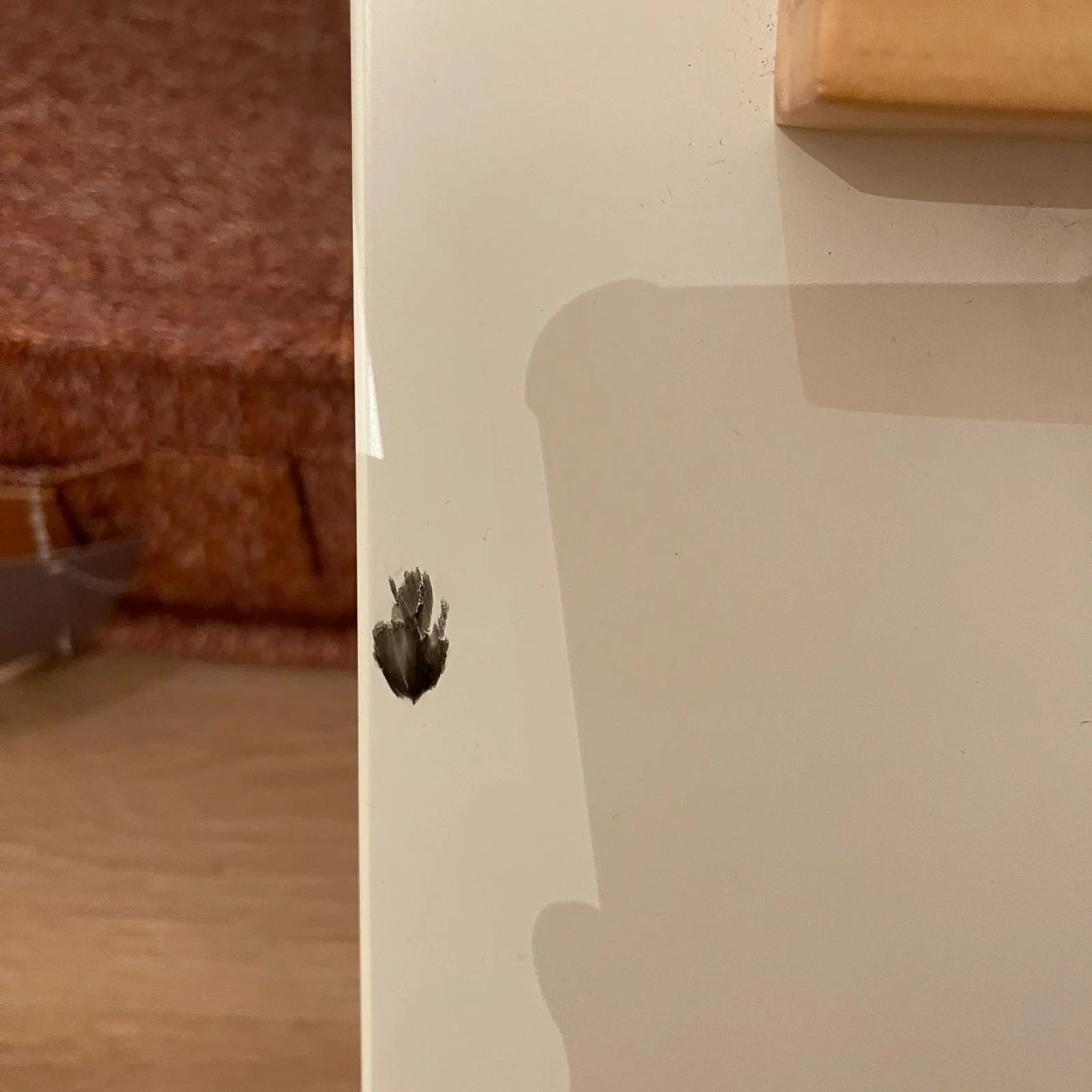 Display Item - Fun Kids Bed HK-C004 - YAS - DISPLAY ITEM - ebarza Furniture UAE | Shop Modern Furniture in Abu Dhabi & Dubai - مفروشات ايبازرا في الامارات | تسوق اثاث عصري وديكورات مميزة في دبي وابوظبي