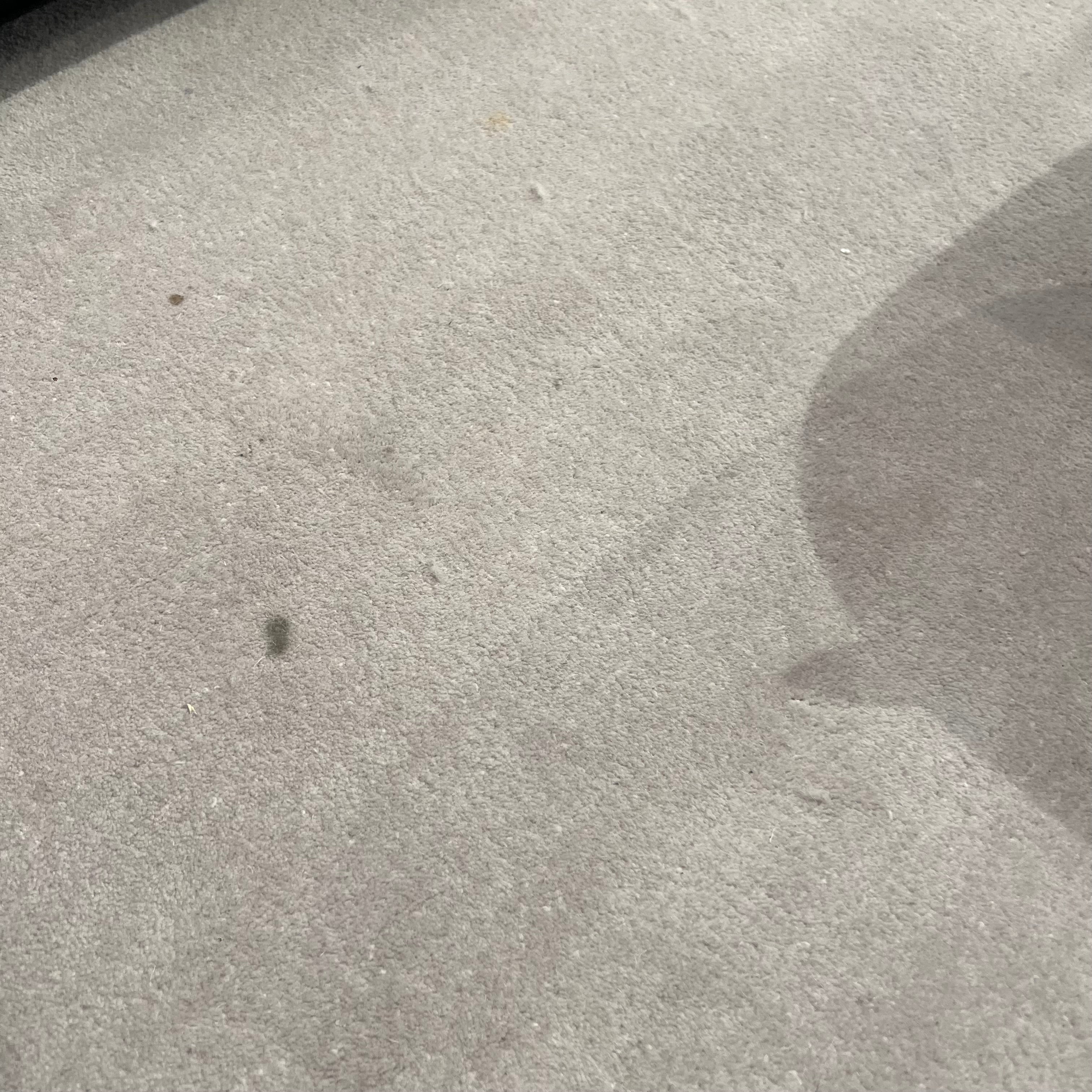 Display Item - 500X350 Cm WOOL BEIGE AND BROWN Round Rug JH-22729 Nakheel - Rugs - ebarza Furniture UAE | Shop Modern Furniture in Abu Dhabi & Dubai - مفروشات ايبازرا في الامارات | تسوق اثاث عصري وديكورات مميزة في دبي وابوظبي