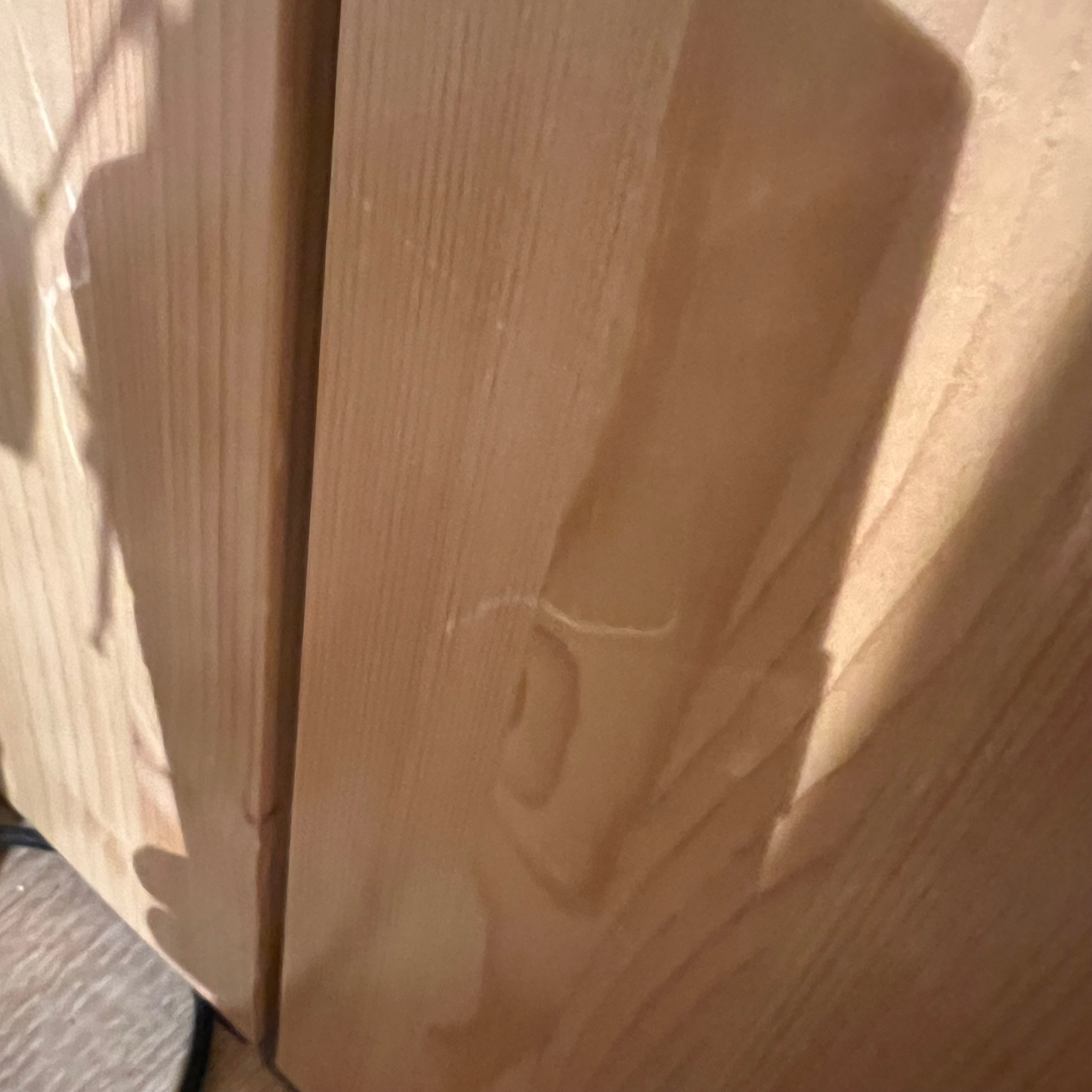 Display Item - Tree Double Kids Bed Et-C004-N -NAKHEEL - DISPLAY ITEM - ebarza Furniture UAE | Shop Modern Furniture in Abu Dhabi & Dubai - مفروشات ايبازرا في الامارات | تسوق اثاث عصري وديكورات مميزة في دبي وابوظبي