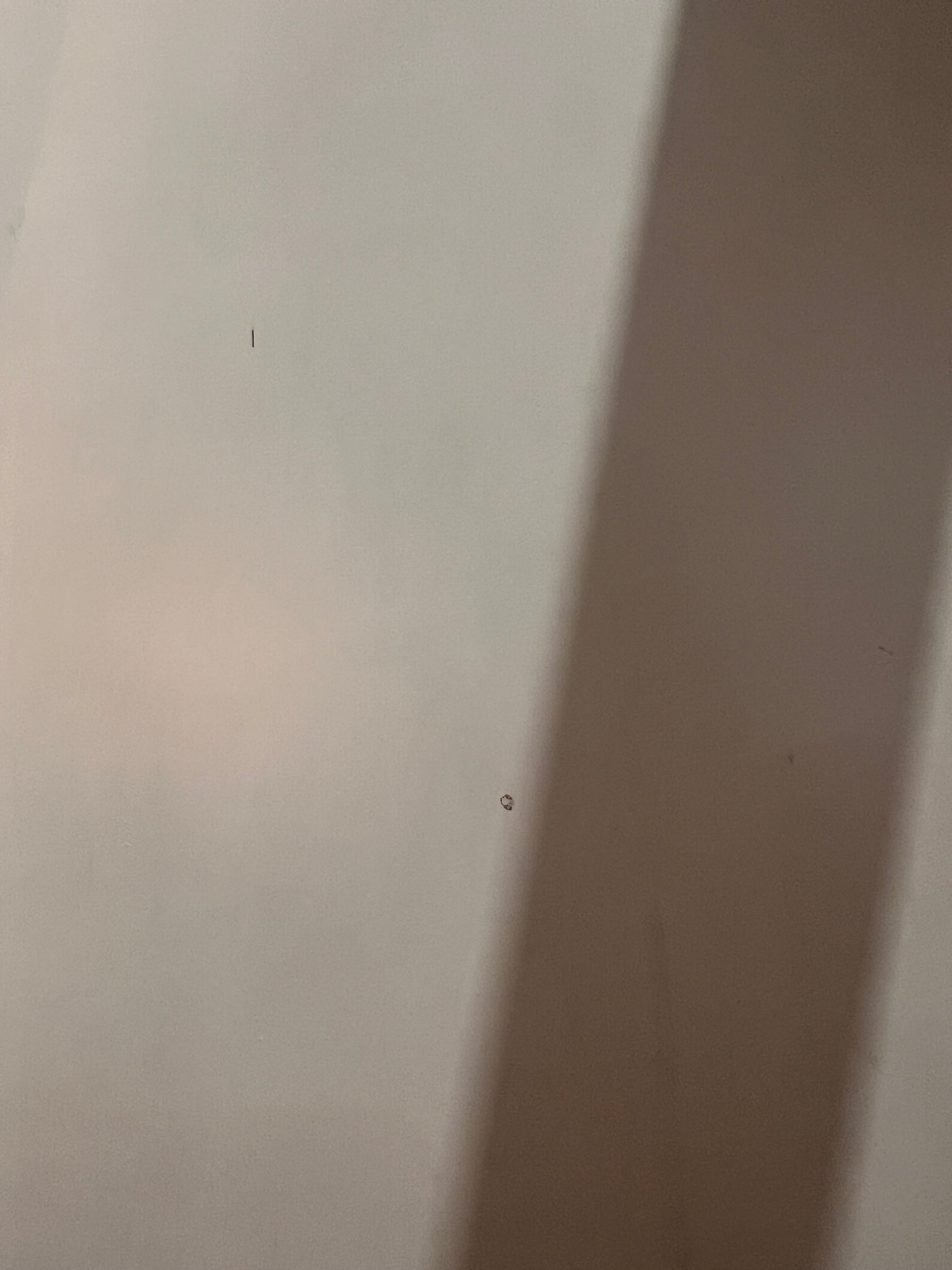 Display Item - Fun Kids Bed HK-C004 Nakheel - DISPLAY ITEM - ebarza Furniture UAE | Shop Modern Furniture in Abu Dhabi & Dubai - مفروشات ايبازرا في الامارات | تسوق اثاث عصري وديكورات مميزة في دبي وابوظبي