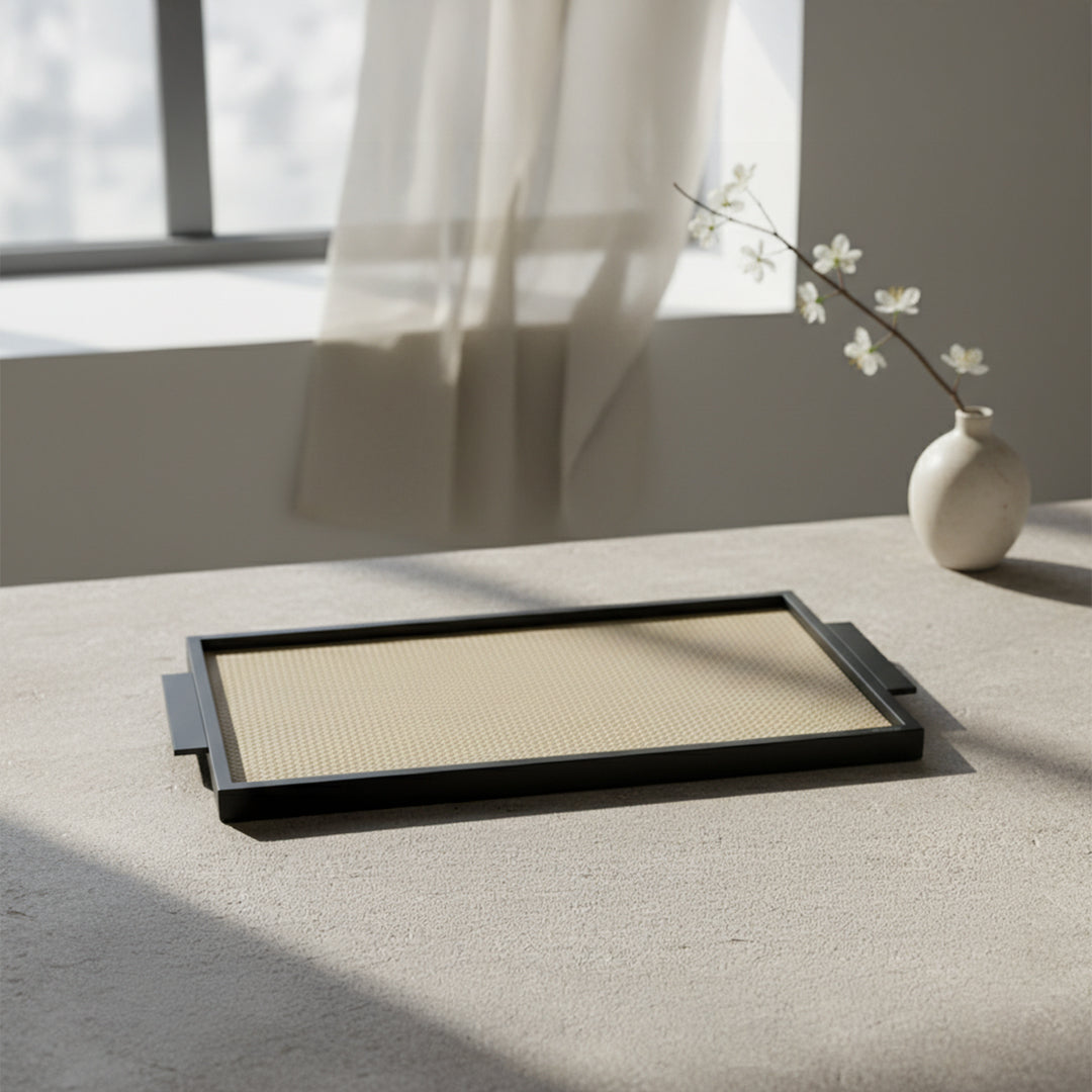 LEATHER & METAL Beige TRAY-L W6047A - Trays - ebarza Furniture UAE | Shop Modern Furniture in Abu Dhabi & Dubai - مفروشات ايبازرا في الامارات | تسوق اثاث عصري وديكورات مميزة في دبي وابوظبي