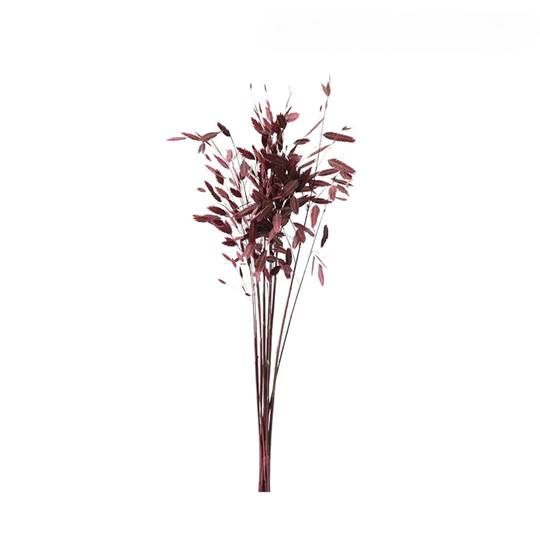 Set Of 10 Bunches Of Dried Flowers-L FF-JH24001L - Plants - ebarza Furniture UAE | Shop Modern Furniture in Abu Dhabi & Dubai - مفروشات ايبازرا في الامارات | تسوق اثاث عصري وديكورات مميزة في دبي وابوظبي