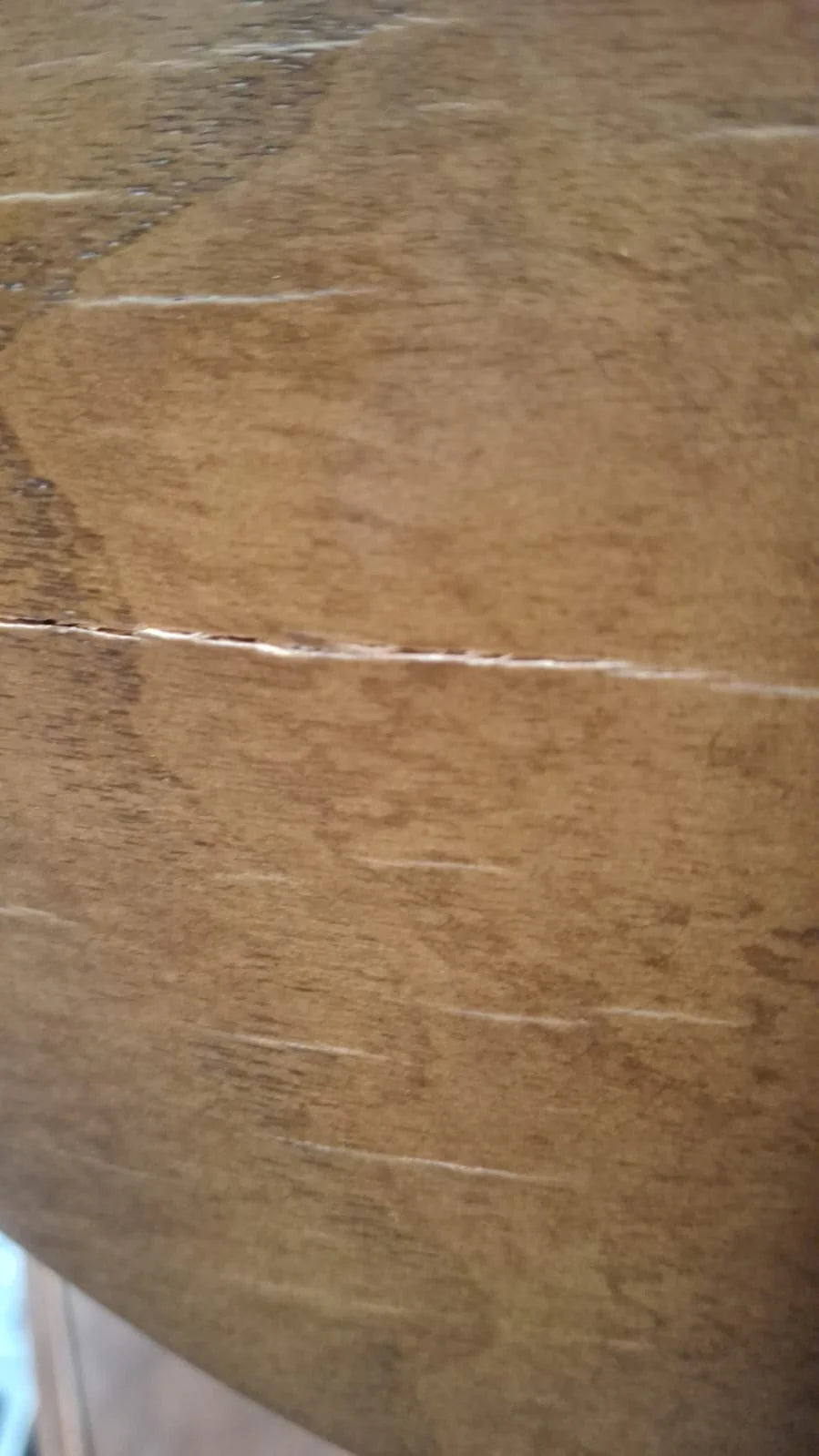 AS IS - Flora Lounge Chair Flora-Wero040 - DISPLAY ITEM - ebarza Furniture UAE | Shop Modern Furniture in Abu Dhabi & Dubai - مفروشات ايبازرا في الامارات | تسوق اثاث عصري وديكورات مميزة في دبي وابوظبي