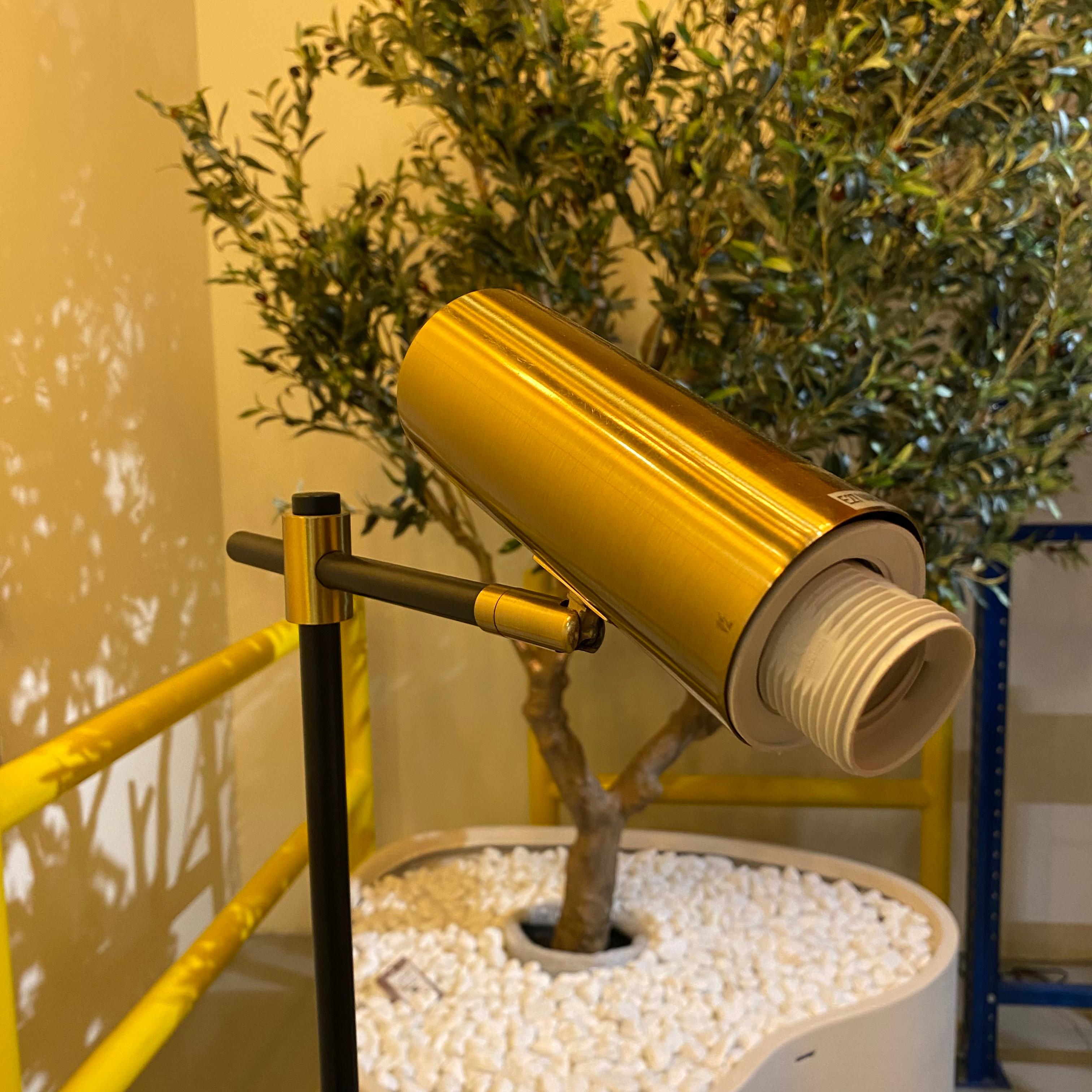 As Is - Andria Floor Lamp Cl1169F - DISPLAY ITEM - ebarza Furniture UAE | Shop Modern Furniture in Abu Dhabi & Dubai - مفروشات ايبازرا في الامارات | تسوق اثاث عصري وديكورات مميزة في دبي وابوظبي