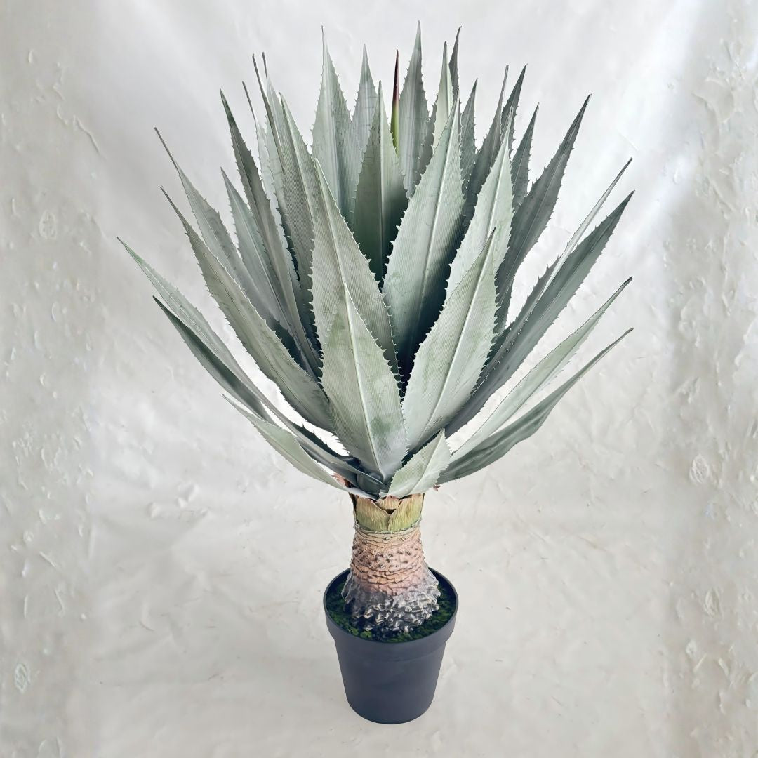 Pre-order 35 Days Delivery All Green Agave Plant 110cm XY2025-222 - Plants - ebarza Furniture UAE | Shop Modern Furniture in Abu Dhabi & Dubai - مفروشات ايبازرا في الامارات | تسوق اثاث عصري وديكورات مميزة في دبي وابوظبي