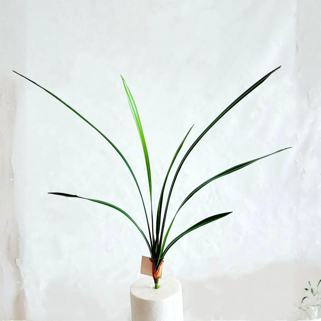 Pre-order 35 Days Delivery Orchid Leaf 66cm XY2025-339PG - Plants - ebarza Furniture UAE | Shop Modern Furniture in Abu Dhabi & Dubai - مفروشات ايبازرا في الامارات | تسوق اثاث عصري وديكورات مميزة في دبي وابوظبي