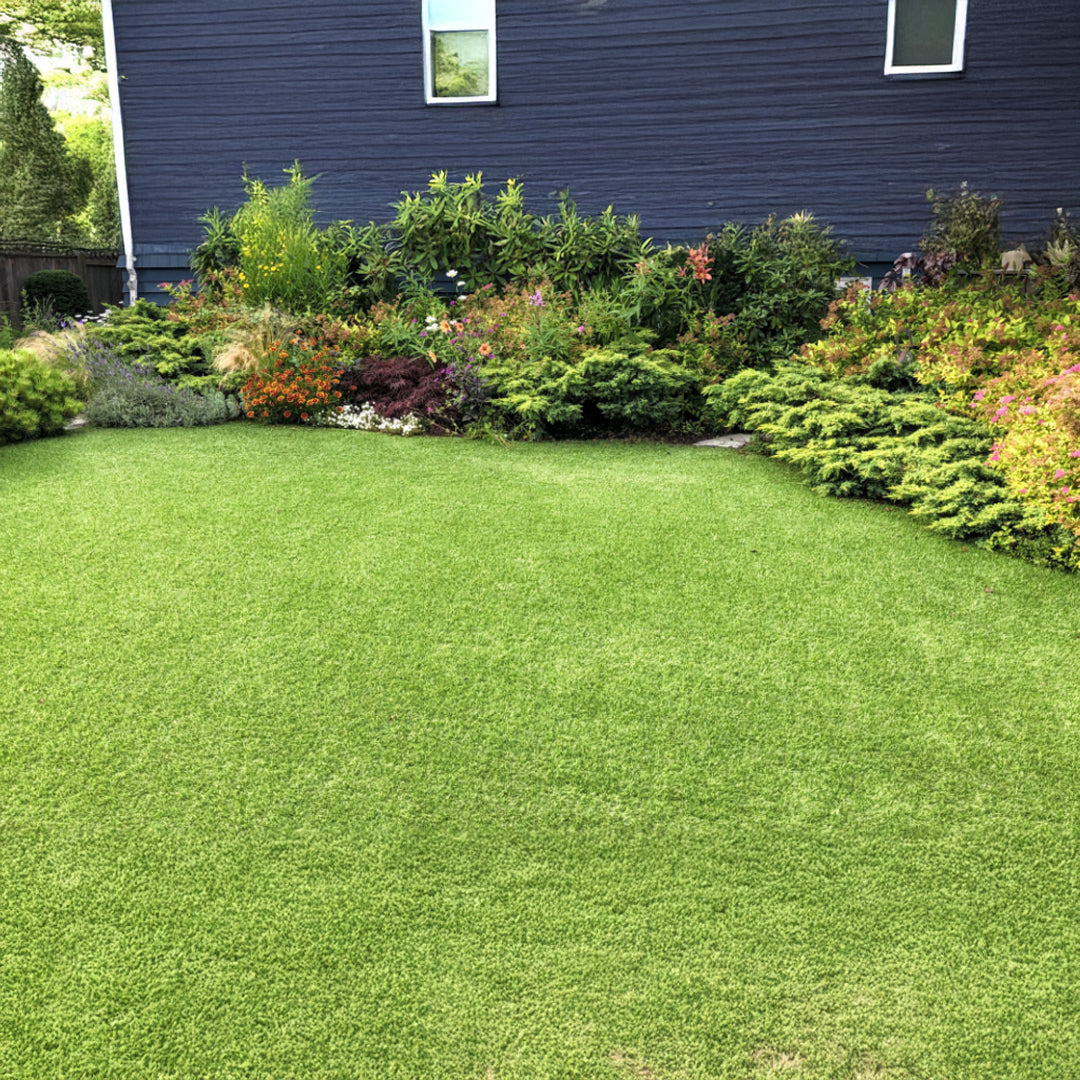 Artificial Turf For Landscaping - 500DXC4-6F-NC - Plants - ebarza Furniture UAE | Shop Modern Furniture in Abu Dhabi & Dubai - مفروشات ايبازرا في الامارات | تسوق اثاث عصري وديكورات مميزة في دبي وابوظبي