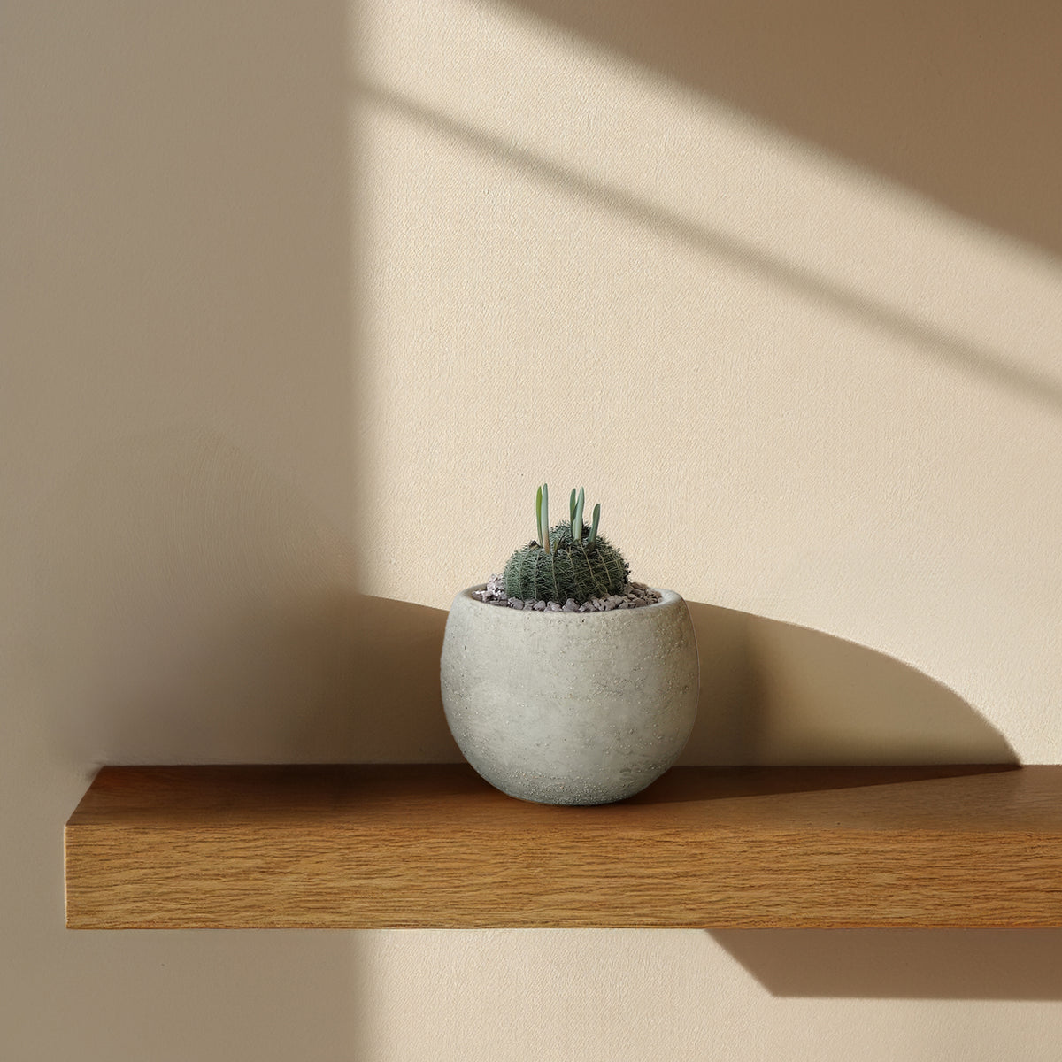 Cloud White Bud outdoor and indoor planter box by BEACON, stylish and versatile for garden or home planting.