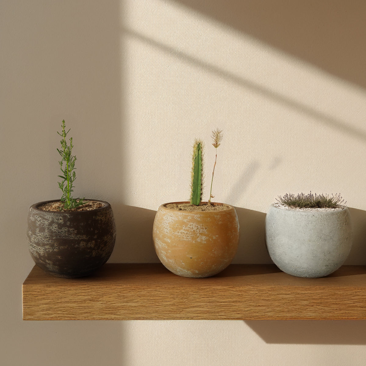 Cloud White Bud outdoor and indoor planter box by BEACON, designed for stylish planting indoors or outdoors.
