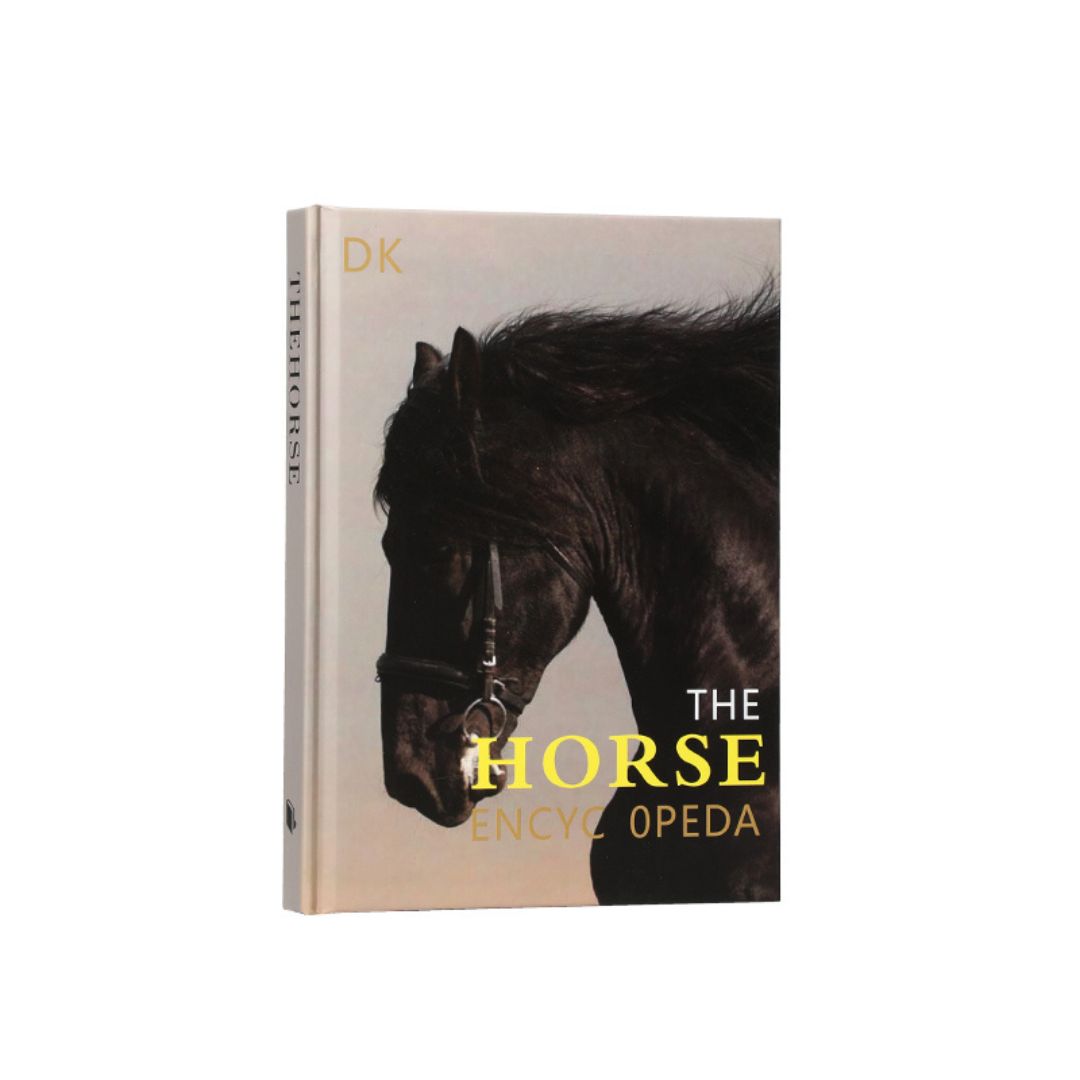 Decorative BEACON book from the FF-BS24004 series, featuring a stylish cover for home decor or display purposes.