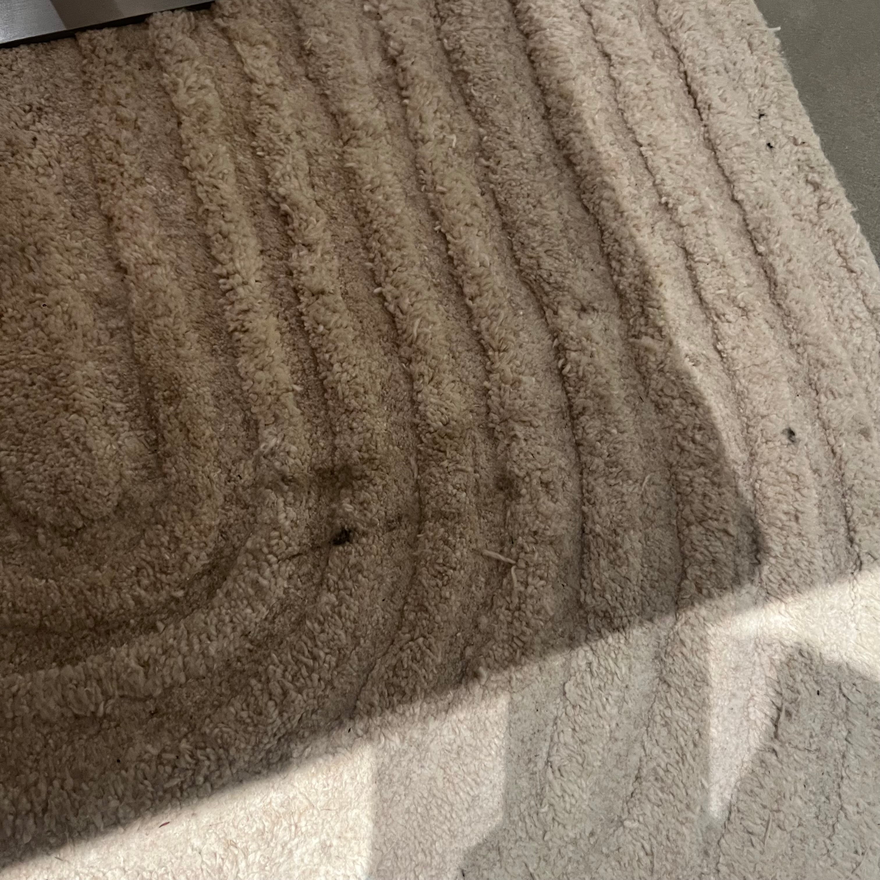 Display Item - 230X160 Cm Eclipsed Pearls WOOL BEIGE Rug JH-22749 Nakheel - DISPLAY ITEM - ebarza Furniture UAE | Shop Modern Furniture in Abu Dhabi & Dubai - مفروشات ايبازرا في الامارات | تسوق اثاث عصري وديكورات مميزة في دبي وابوظبي