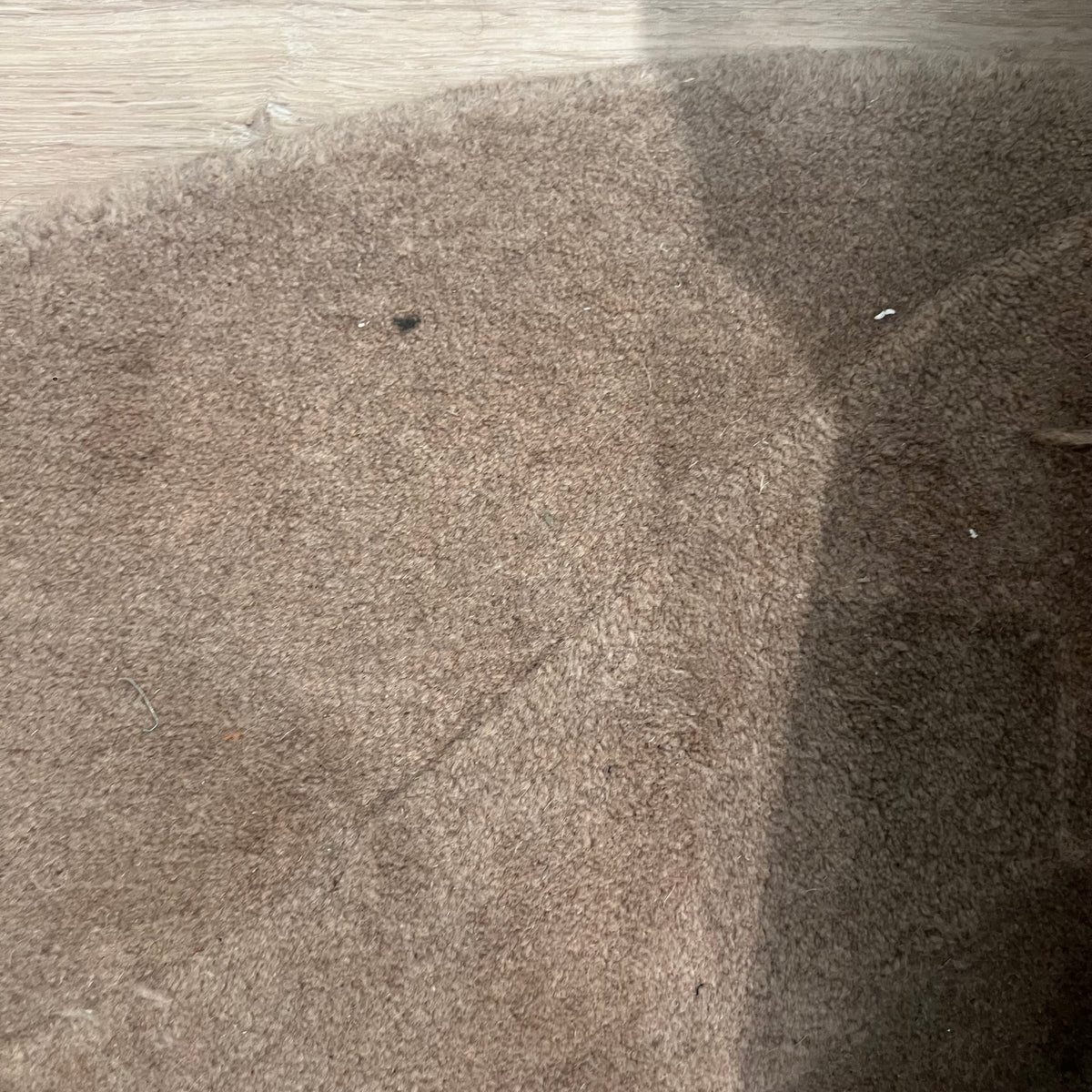 Dark beige wool rug display item measuring 400x350 cm by Javi, showcasing soft texture and intricate pattern.