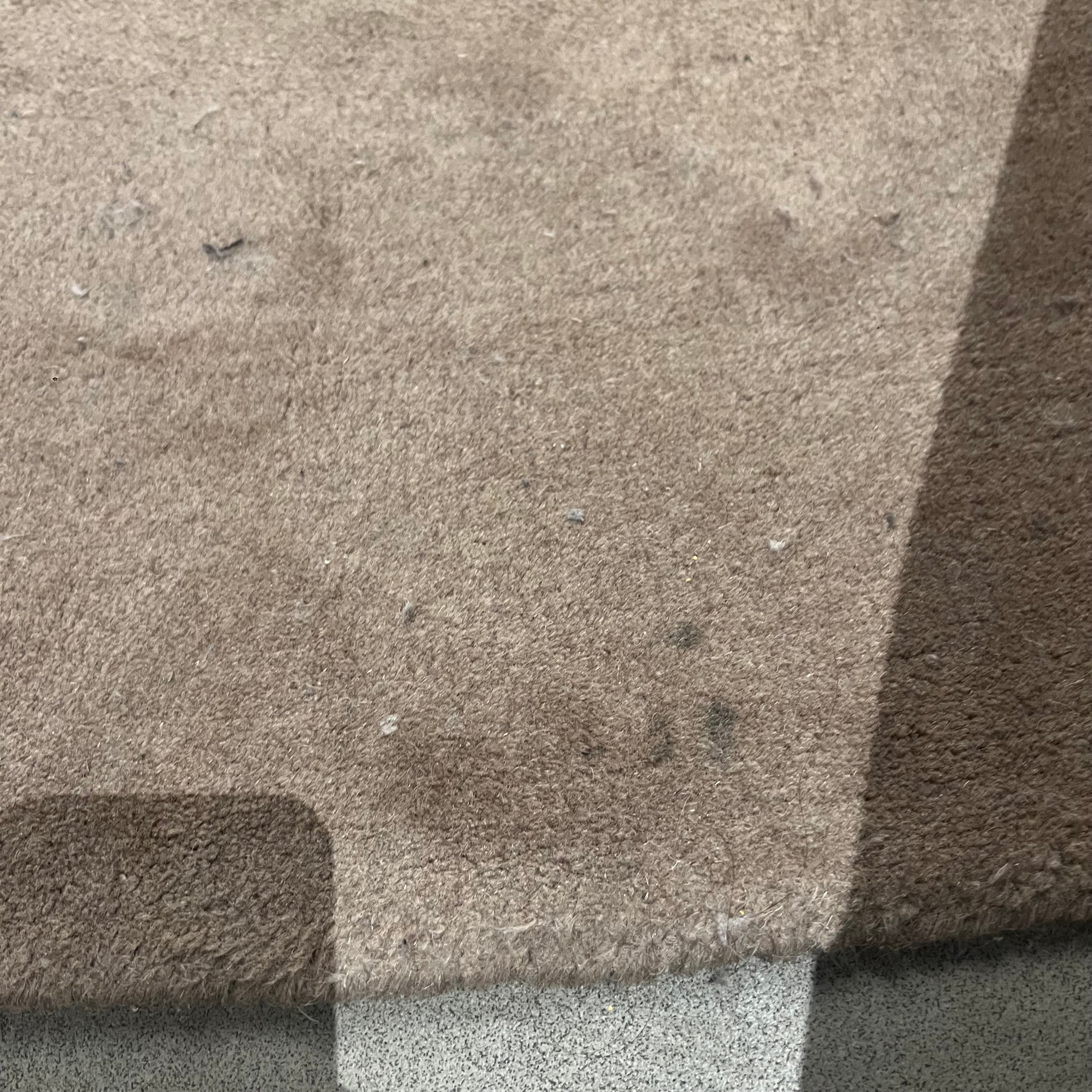 Display Item - 500X350 Cm WOOL BEIGE AND BROWN Round Rug JH-22729 Nakheel - Rugs - ebarza Furniture UAE | Shop Modern Furniture in Abu Dhabi & Dubai - مفروشات ايبازرا في الامارات | تسوق اثاث عصري وديكورات مميزة في دبي وابوظبي