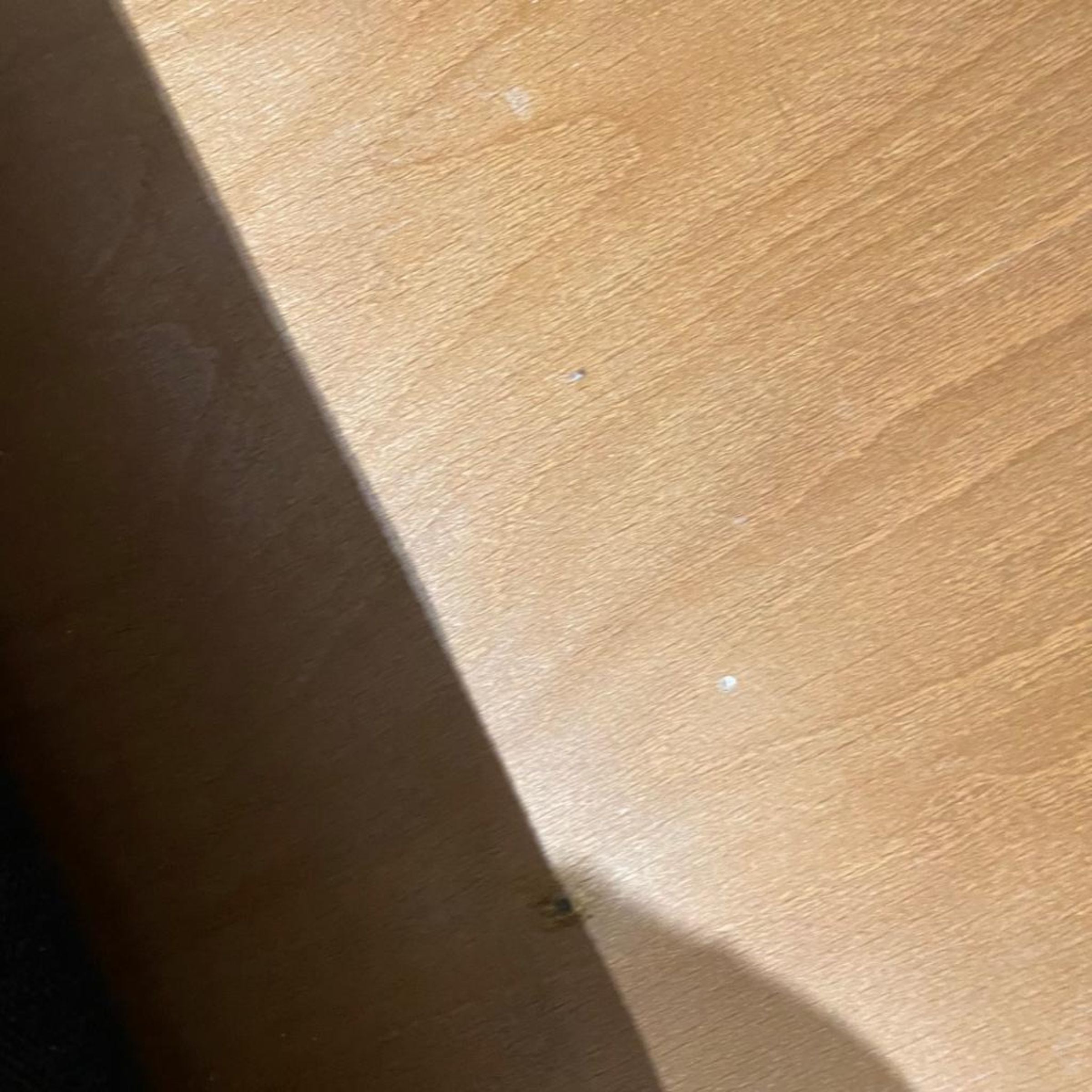 Display Item - Eagle Double Side Sofa Eagle - DISPLAY ITEM - ebarza Furniture UAE | Shop Modern Furniture in Abu Dhabi & Dubai - مفروشات ايبازرا في الامارات | تسوق اثاث عصري وديكورات مميزة في دبي وابوظبي