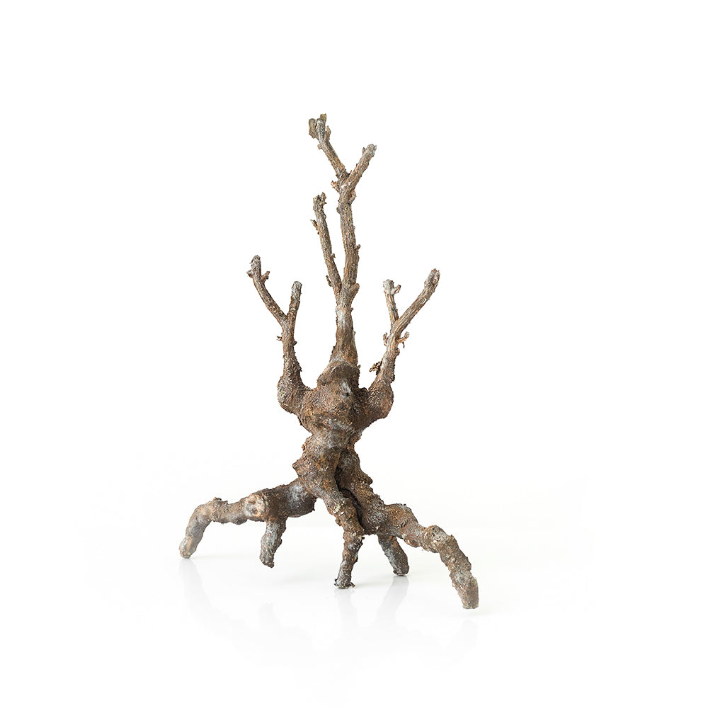 Handmade Decorative Artificial Branches N36020-BJ116 - Plants - ebarza Furniture UAE | Shop Modern Furniture in Abu Dhabi & Dubai - مفروشات ايبازرا في الامارات | تسوق اثاث عصري وديكورات مميزة في دبي وابوظبي