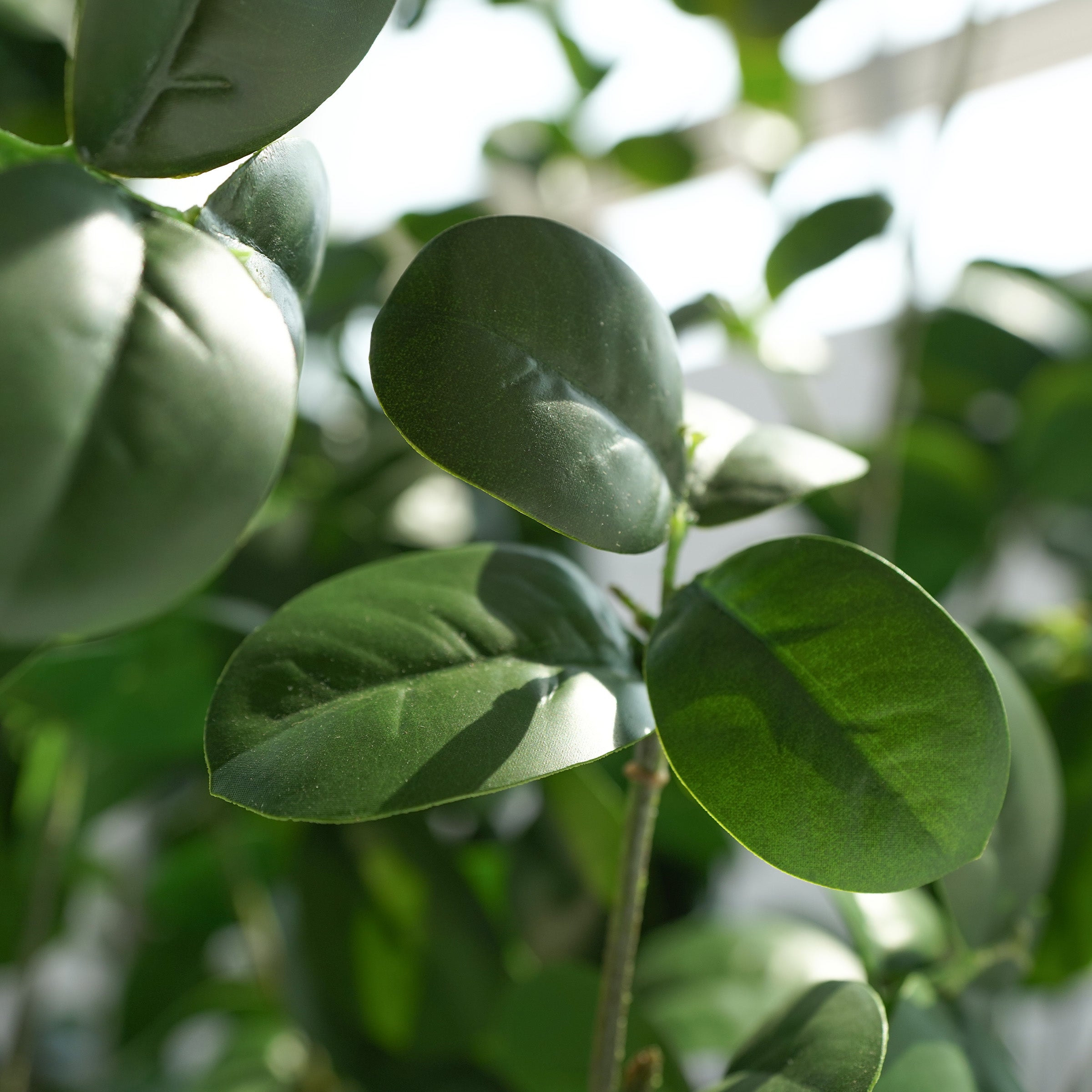 Handmade Decorative Artificial Camellia Tree With Plastic Pot N36520-S008 - Plants - ebarza Furniture UAE | Shop Modern Furniture in Abu Dhabi & Dubai - مفروشات ايبازرا في الامارات | تسوق اثاث عصري وديكورات مميزة في دبي وابوظبي