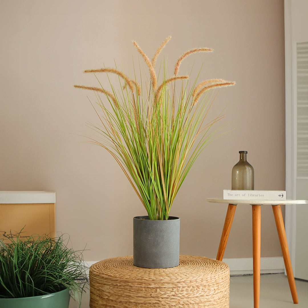 Handmade Decorative Artificial Plant - CF-BEGR-7312 - Home Accessories - ebarza Furniture UAE | Shop Modern Furniture in Abu Dhabi & Dubai - مفروشات ايبازرا في الامارات | تسوق اثاث عصري وديكورات مميزة في دبي وابوظبي