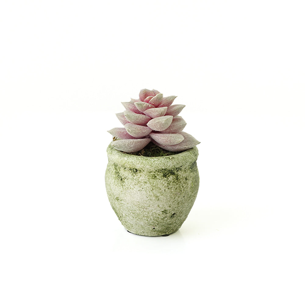 Handmade Decorative Artificial Plant N36520-PZ029 - Plants - ebarza Furniture UAE | Shop Modern Furniture in Abu Dhabi & Dubai - مفروشات ايبازرا في الامارات | تسوق اثاث عصري وديكورات مميزة في دبي وابوظبي