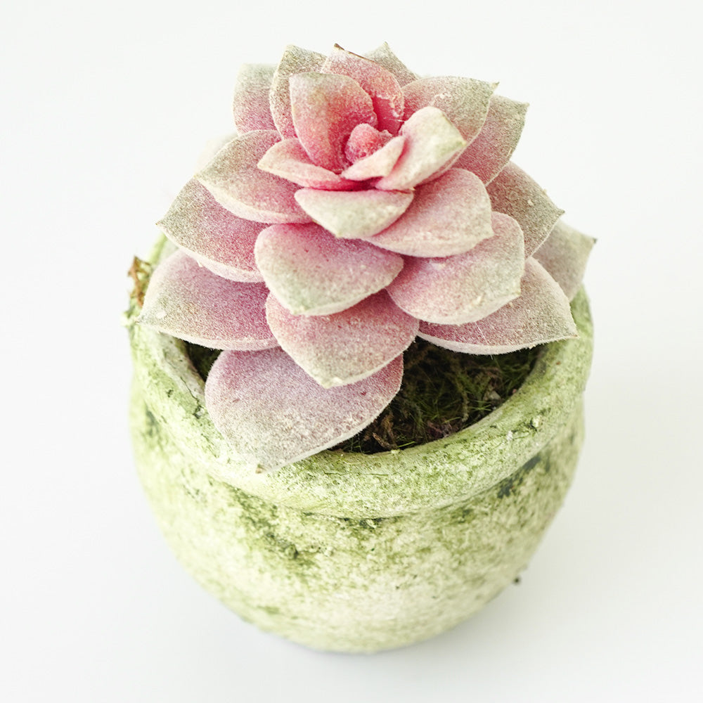 Handmade Decorative Artificial Plant N36520-PZ029 - Plants - ebarza Furniture UAE | Shop Modern Furniture in Abu Dhabi & Dubai - مفروشات ايبازرا في الامارات | تسوق اثاث عصري وديكورات مميزة في دبي وابوظبي