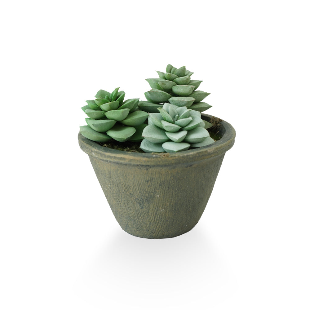 Handmade Decorative Artificial Plant N36520-PZ033-GR - Plants - ebarza Furniture UAE | Shop Modern Furniture in Abu Dhabi & Dubai - مفروشات ايبازرا في الامارات | تسوق اثاث عصري وديكورات مميزة في دبي وابوظبي