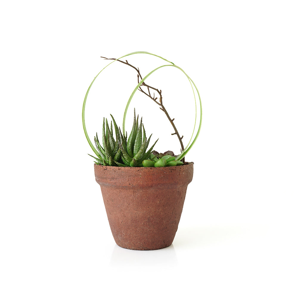 Handmade Decorative Artificial Plant N36620-PZ005 - Plants - ebarza Furniture UAE | Shop Modern Furniture in Abu Dhabi & Dubai - مفروشات ايبازرا في الامارات | تسوق اثاث عصري وديكورات مميزة في دبي وابوظبي