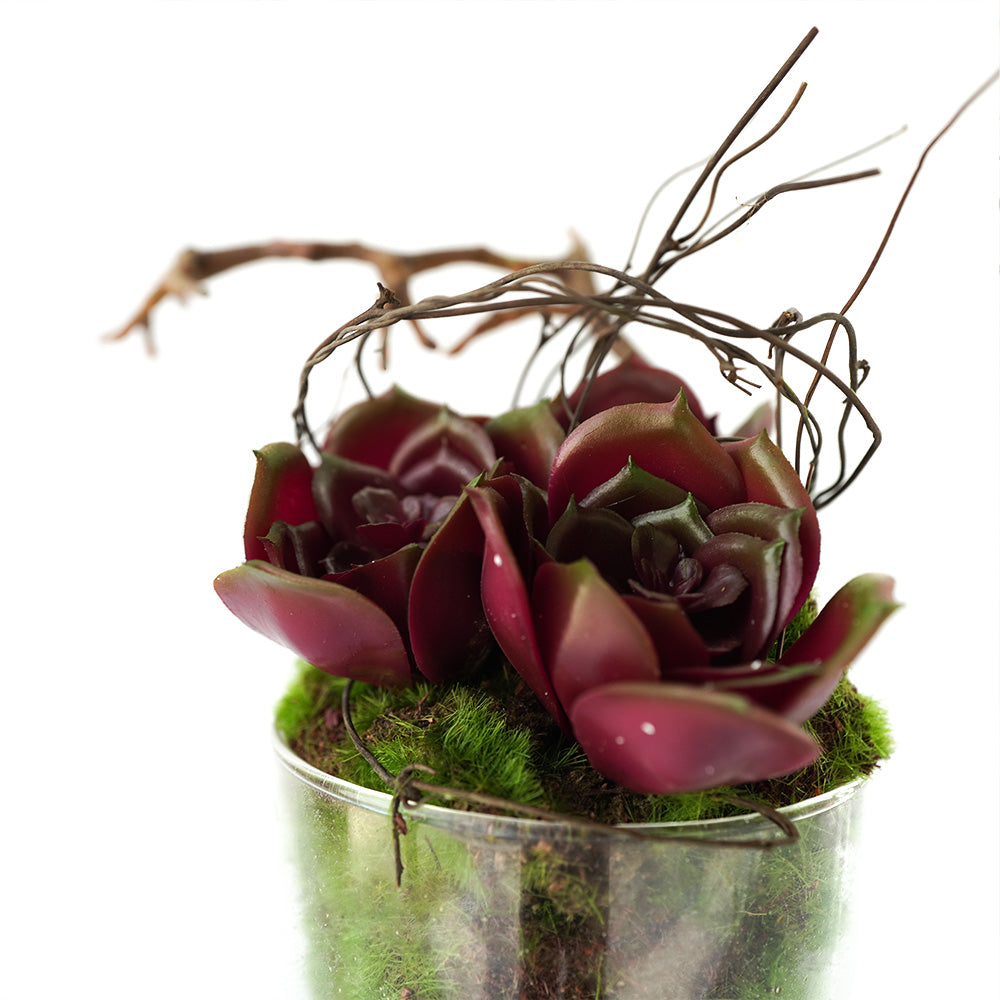 Handmade Decorative Artificial Plant Potted Succulent with Grass N36520-PZ040 - Plants - ebarza Furniture UAE | Shop Modern Furniture in Abu Dhabi & Dubai - مفروشات ايبازرا في الامارات | تسوق اثاث عصري وديكورات مميزة في دبي وابوظبي