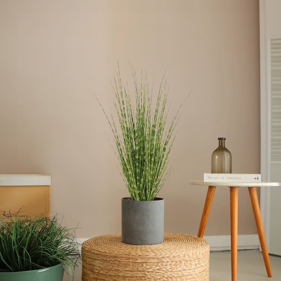 Handmade Decorative Artificial Plant - TG2-A0049 - Plants - ebarza Furniture UAE | Shop Modern Furniture in Abu Dhabi & Dubai - مفروشات ايبازرا في الامارات | تسوق اثاث عصري وديكورات مميزة في دبي وابوظبي