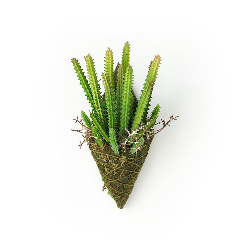 Handmade Decorative Artificial Plant Wall N36020-XG164 - Plants - ebarza Furniture UAE | Shop Modern Furniture in Abu Dhabi & Dubai - مفروشات ايبازرا في الامارات | تسوق اثاث عصري وديكورات مميزة في دبي وابوظبي