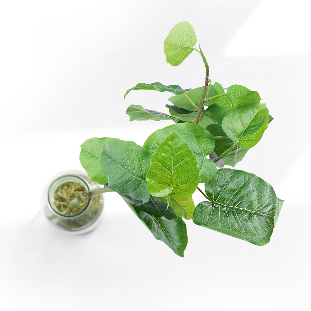 Handmade Decorative Artificial Plant With Garss N36020-BJ186 - Plants - ebarza Furniture UAE | Shop Modern Furniture in Abu Dhabi & Dubai - مفروشات ايبازرا في الامارات | تسوق اثاث عصري وديكورات مميزة في دبي وابوظبي