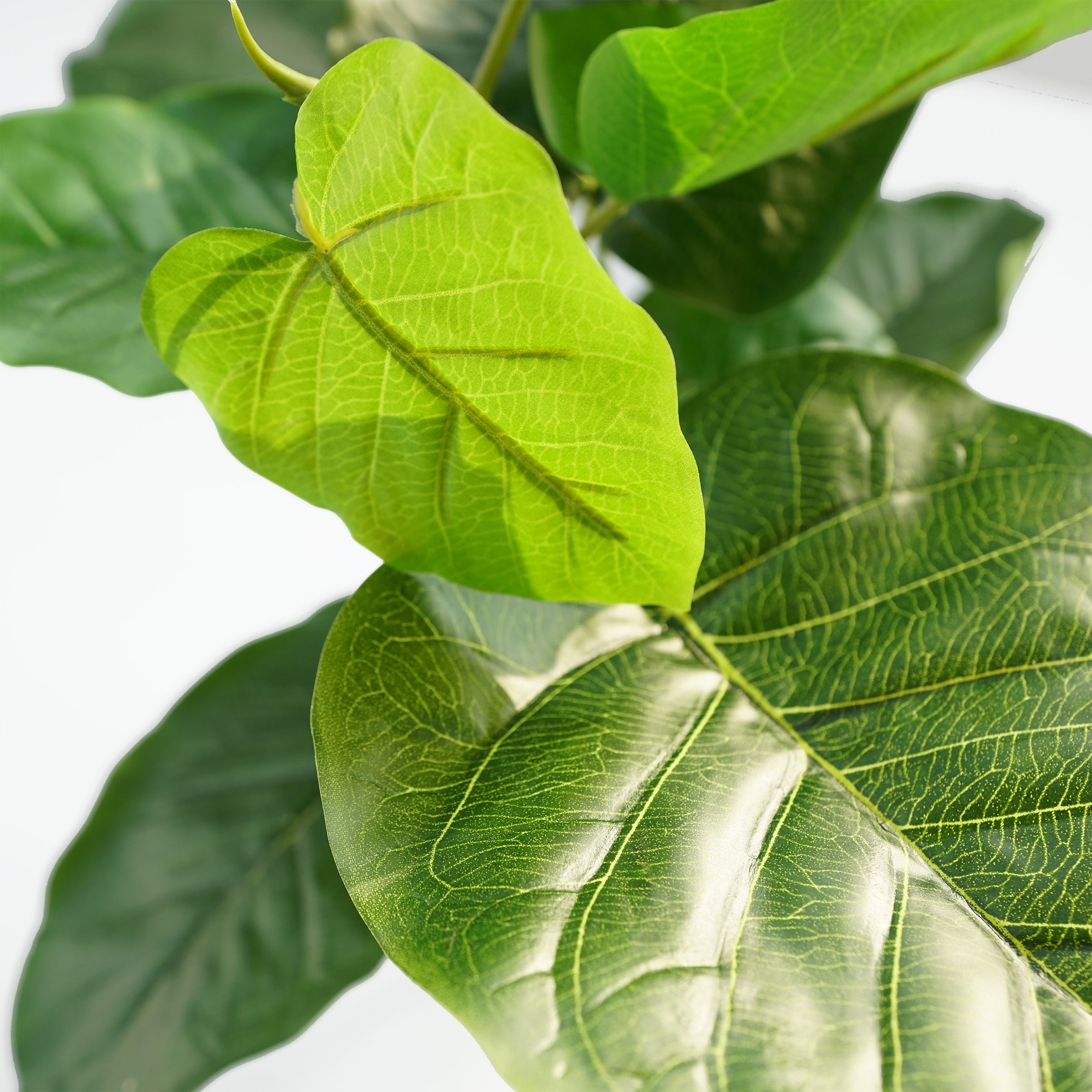 Handmade Decorative Artificial Plant With Grass N36020-BJ200 - Plants - ebarza Furniture UAE | Shop Modern Furniture in Abu Dhabi & Dubai - مفروشات ايبازرا في الامارات | تسوق اثاث عصري وديكورات مميزة في دبي وابوظبي