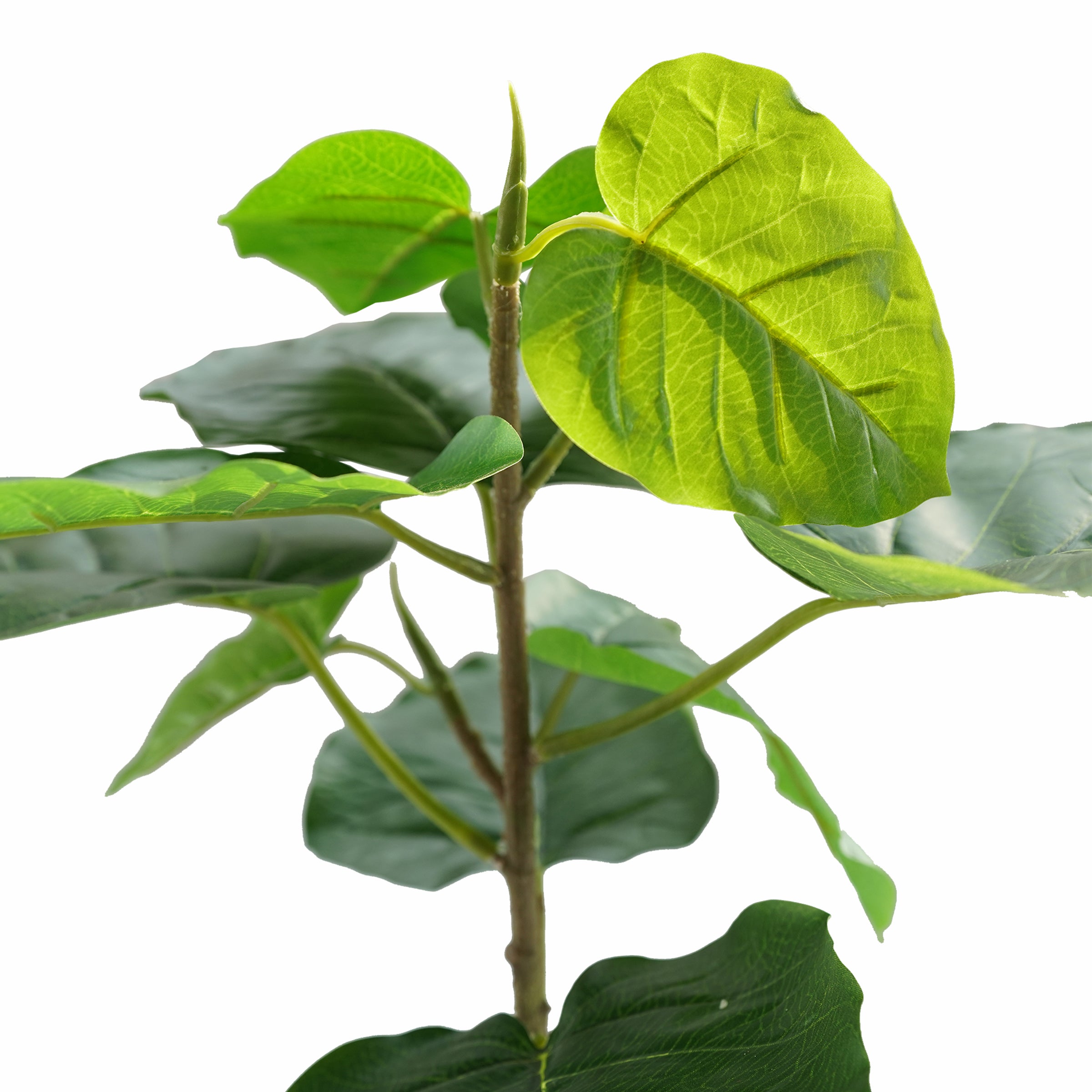 Handmade Decorative Artificial Plant With Grass N36020-BJ200 - Plants - ebarza Furniture UAE | Shop Modern Furniture in Abu Dhabi & Dubai - مفروشات ايبازرا في الامارات | تسوق اثاث عصري وديكورات مميزة في دبي وابوظبي