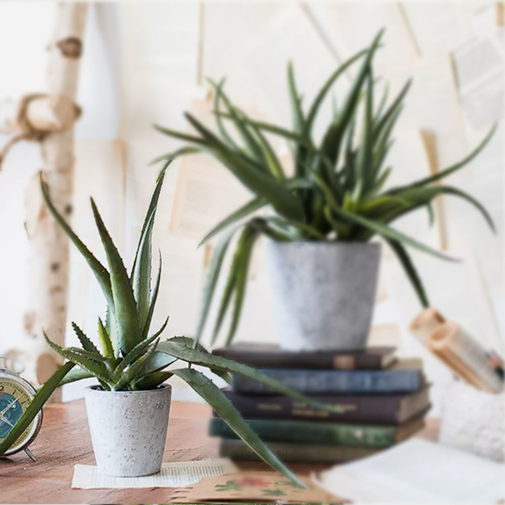 Handmade Decorative Artificial Potted Aloe N35020-PZ173 - Plants - ebarza Furniture UAE | Shop Modern Furniture in Abu Dhabi & Dubai - مفروشات ايبازرا في الامارات | تسوق اثاث عصري وديكورات مميزة في دبي وابوظبي