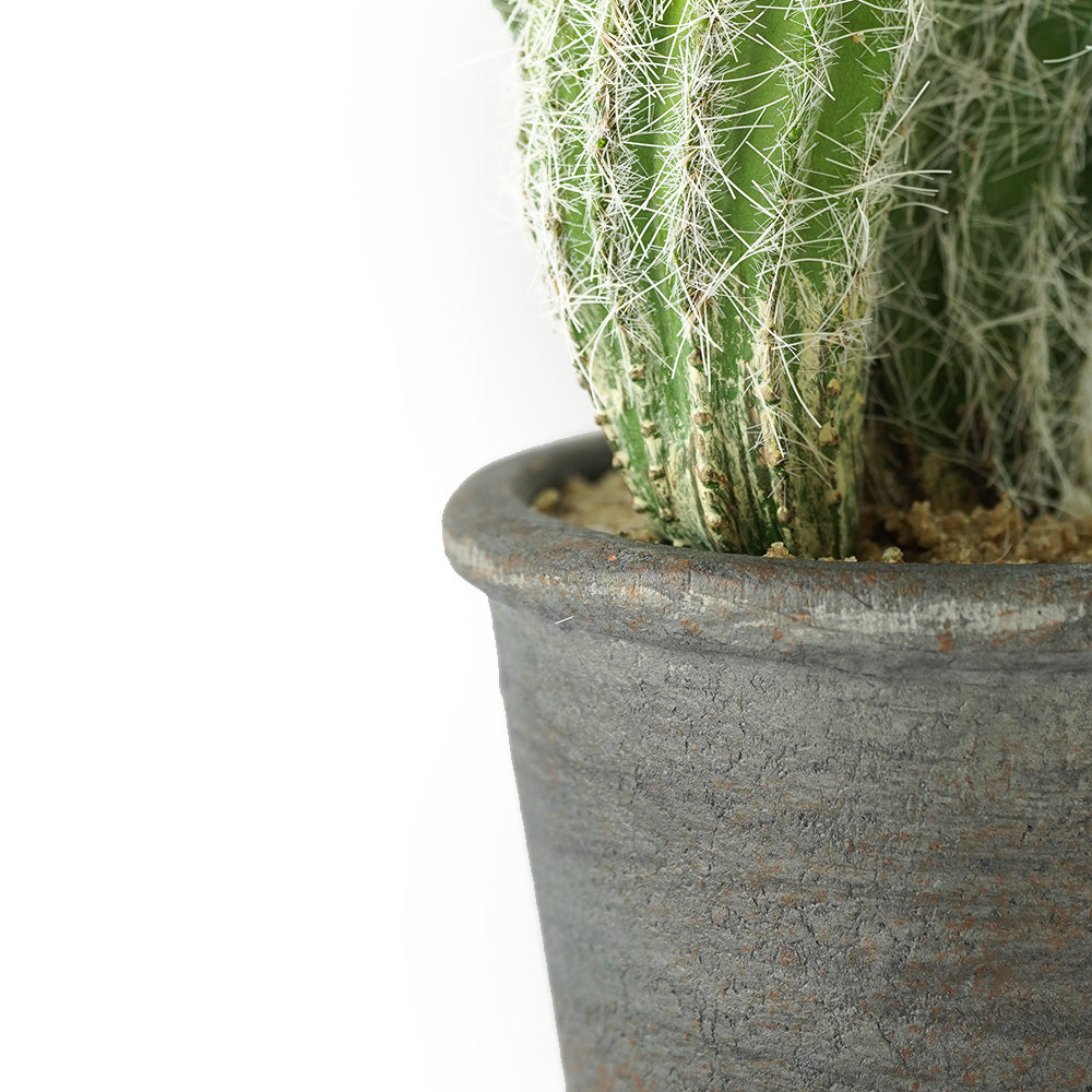Handmade Decorative Artificial Potted Cactus N35020-SM062 - Plants - ebarza Furniture UAE | Shop Modern Furniture in Abu Dhabi & Dubai - مفروشات ايبازرا في الامارات | تسوق اثاث عصري وديكورات مميزة في دبي وابوظبي