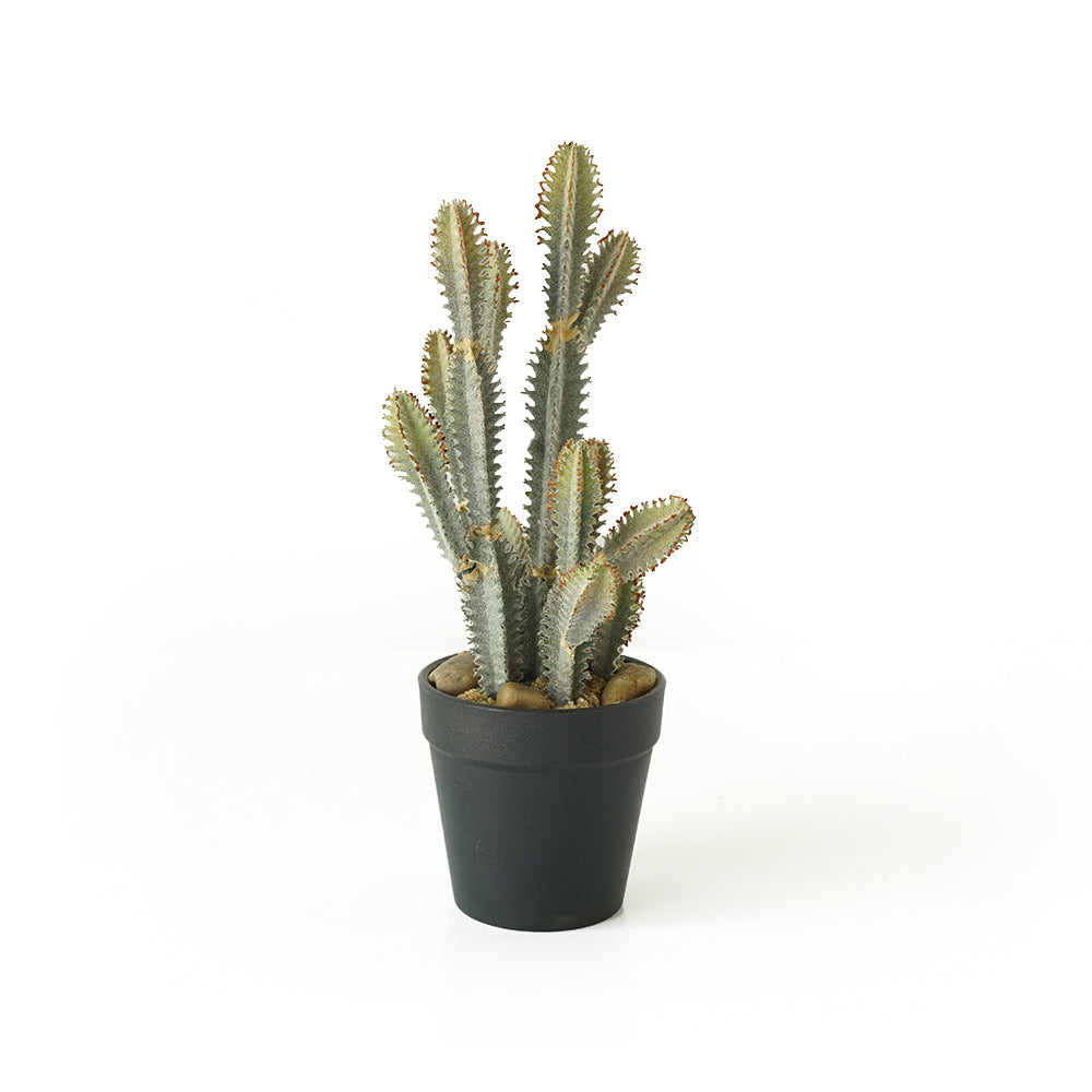 Handmade Decorative Artificial Potted Cactus N35020-SM123 - Plants - ebarza Furniture UAE | Shop Modern Furniture in Abu Dhabi & Dubai - مفروشات ايبازرا في الامارات | تسوق اثاث عصري وديكورات مميزة في دبي وابوظبي