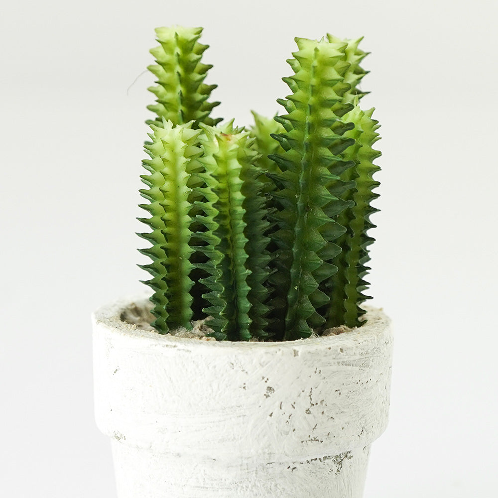 Handmade Decorative Artificial Potted Cactus N35020-SM157 - Plants - ebarza Furniture UAE | Shop Modern Furniture in Abu Dhabi & Dubai - مفروشات ايبازرا في الامارات | تسوق اثاث عصري وديكورات مميزة في دبي وابوظبي