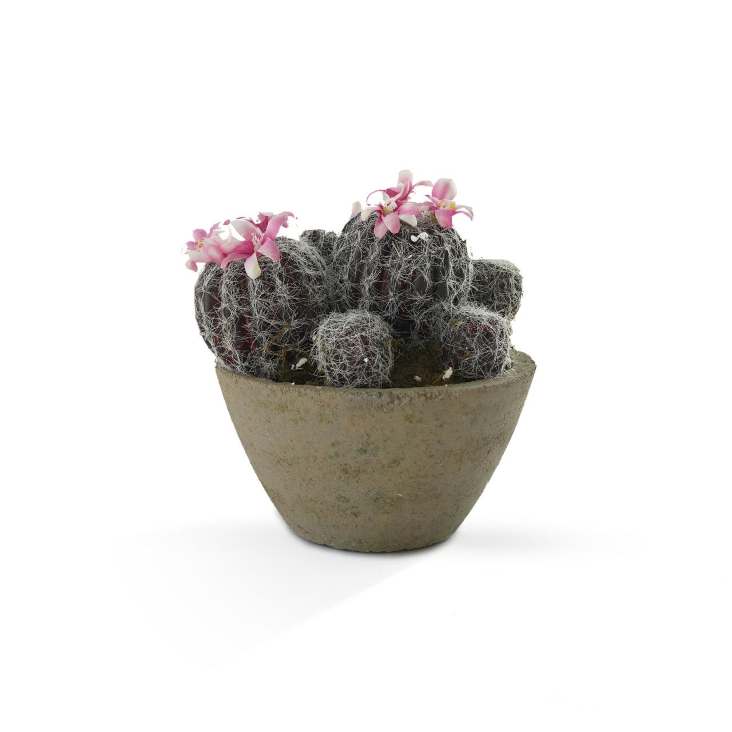 Handmade Decorative Artificial Potted Cactus N36520-PZ024 - Plants - ebarza Furniture UAE | Shop Modern Furniture in Abu Dhabi & Dubai - مفروشات ايبازرا في الامارات | تسوق اثاث عصري وديكورات مميزة في دبي وابوظبي