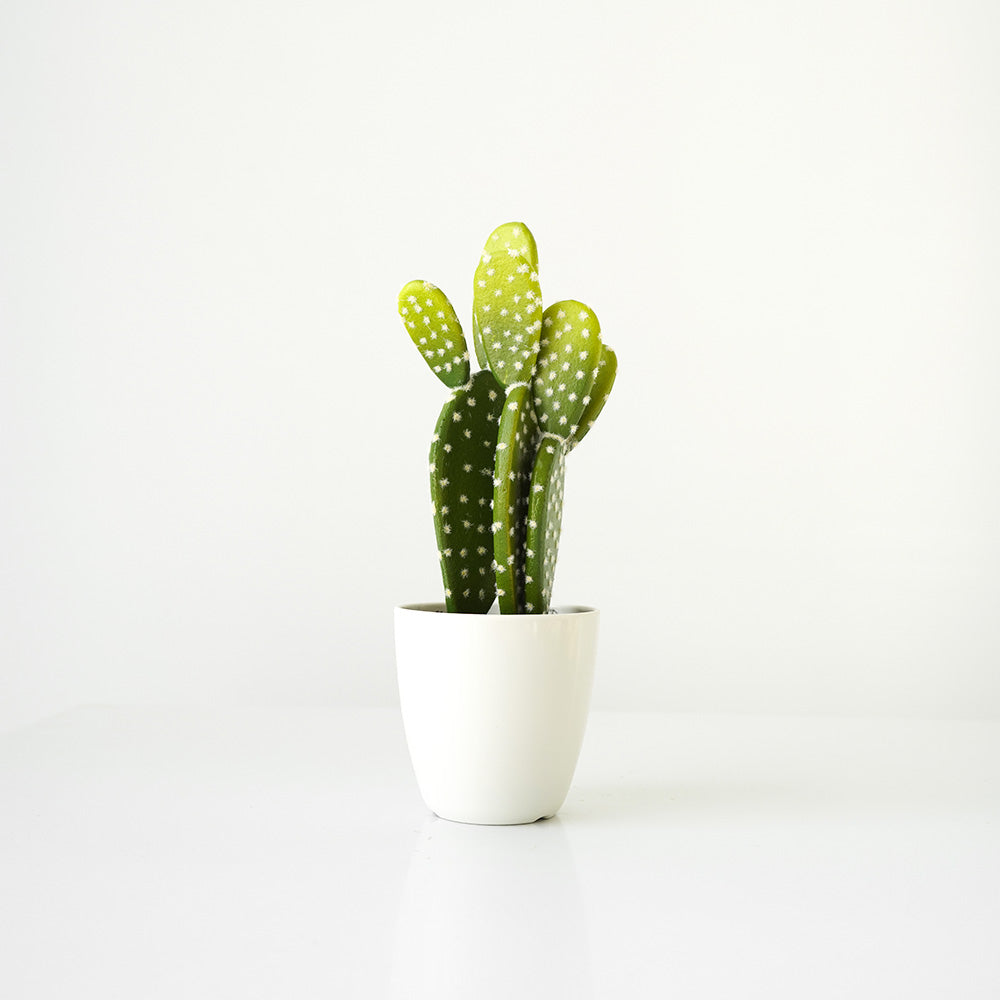 Handmade Decorative Artificial Potted Cactus N38120-PZ003 - Plants - ebarza Furniture UAE | Shop Modern Furniture in Abu Dhabi & Dubai - مفروشات ايبازرا في الامارات | تسوق اثاث عصري وديكورات مميزة في دبي وابوظبي