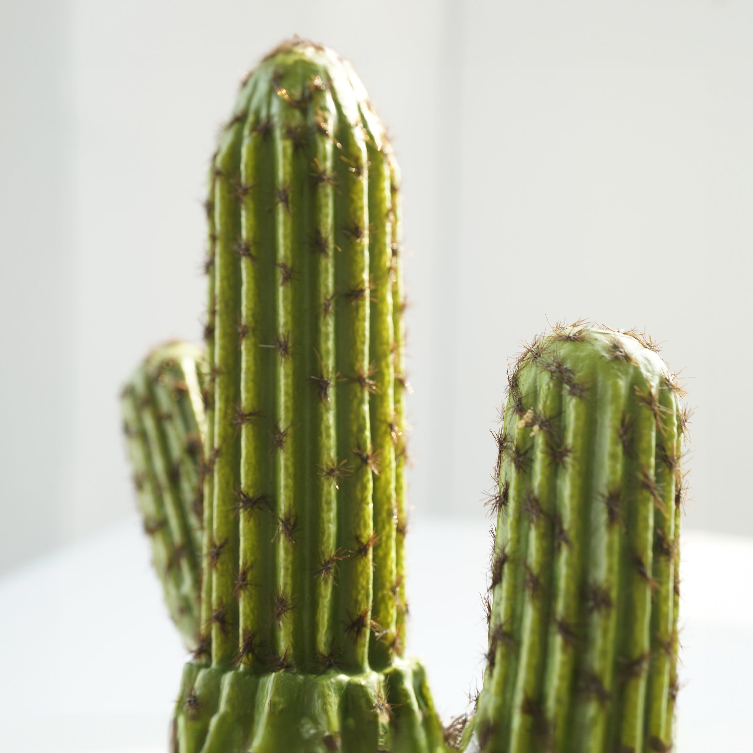 Handmade Decorative Artificial Potted Cactus N38120-PZ005 - Plants - ebarza Furniture UAE | Shop Modern Furniture in Abu Dhabi & Dubai - مفروشات ايبازرا في الامارات | تسوق اثاث عصري وديكورات مميزة في دبي وابوظبي